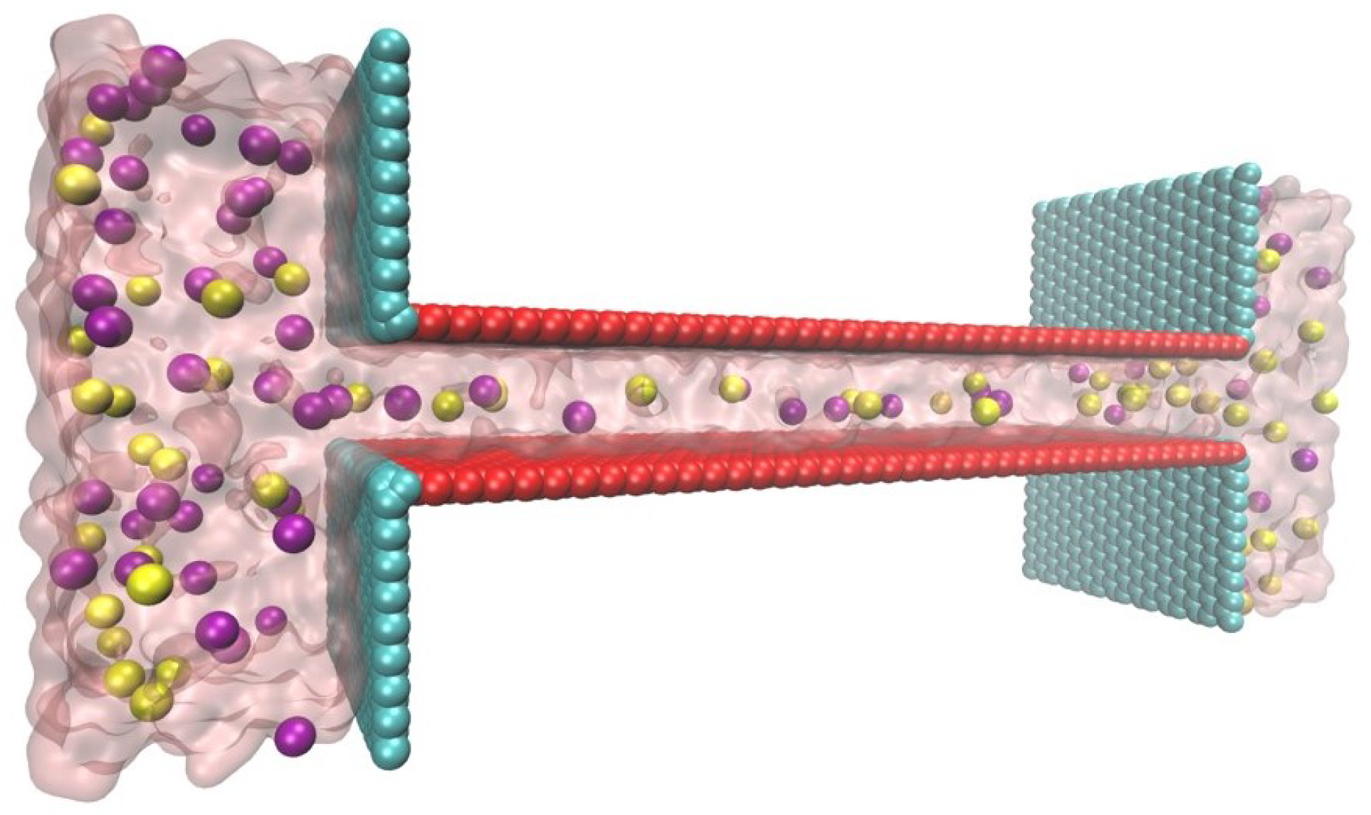 Molecules 26 07078 g002 Molecules 26 07078 g002
