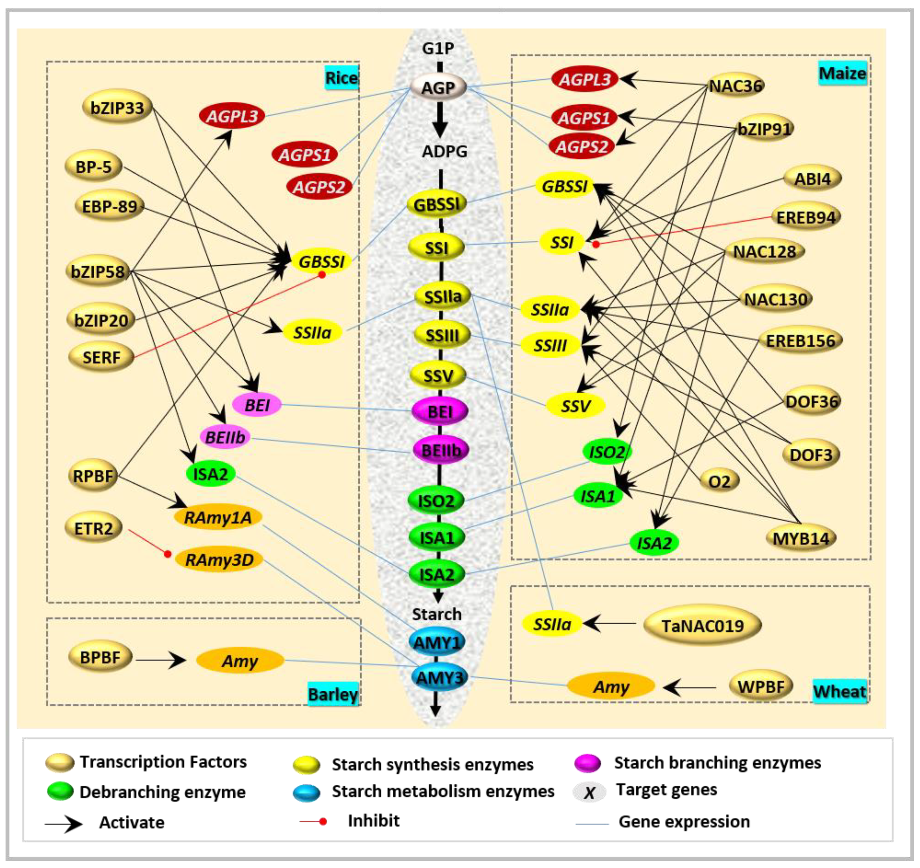 Molecules 26 07092 g002 Molecules 26 07092 g002