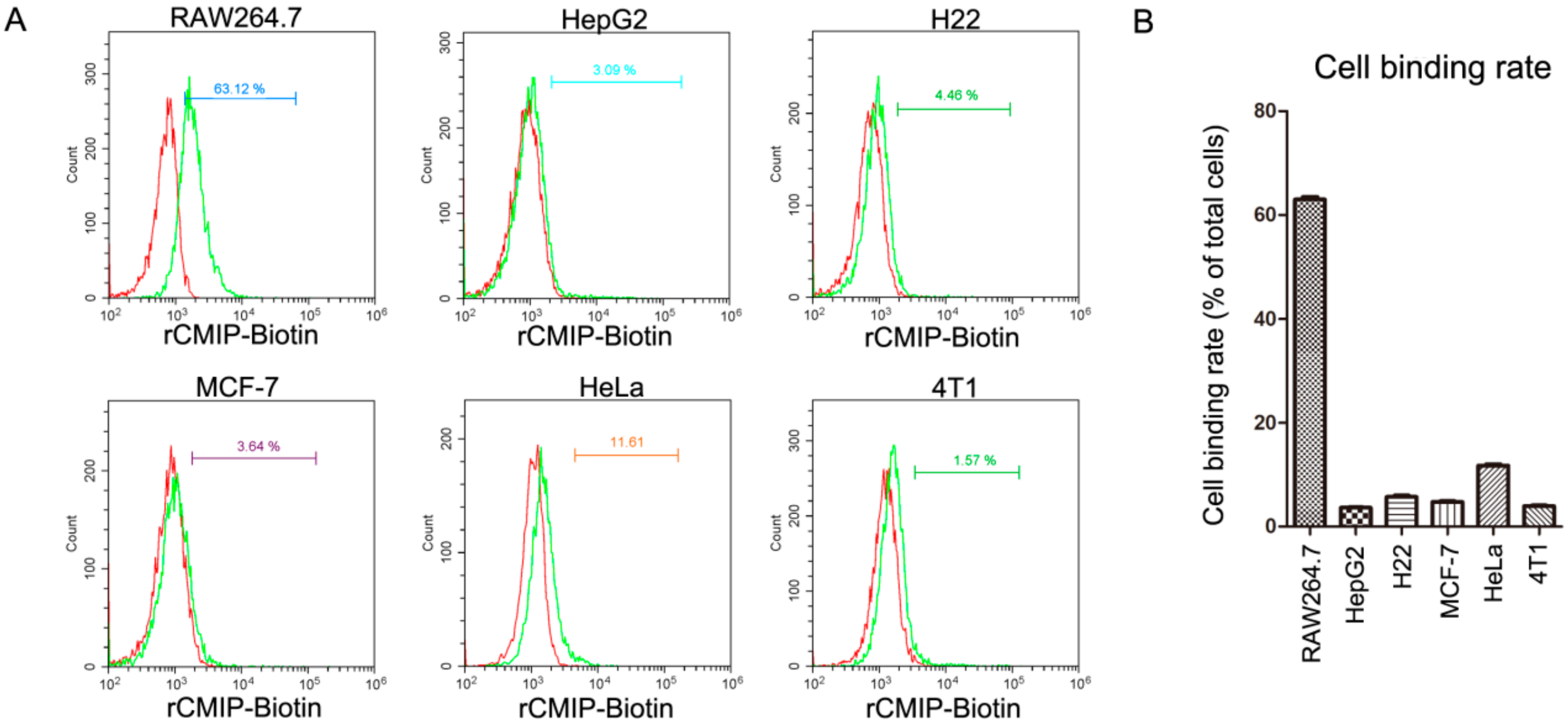 Molecules 26 07107 g002
