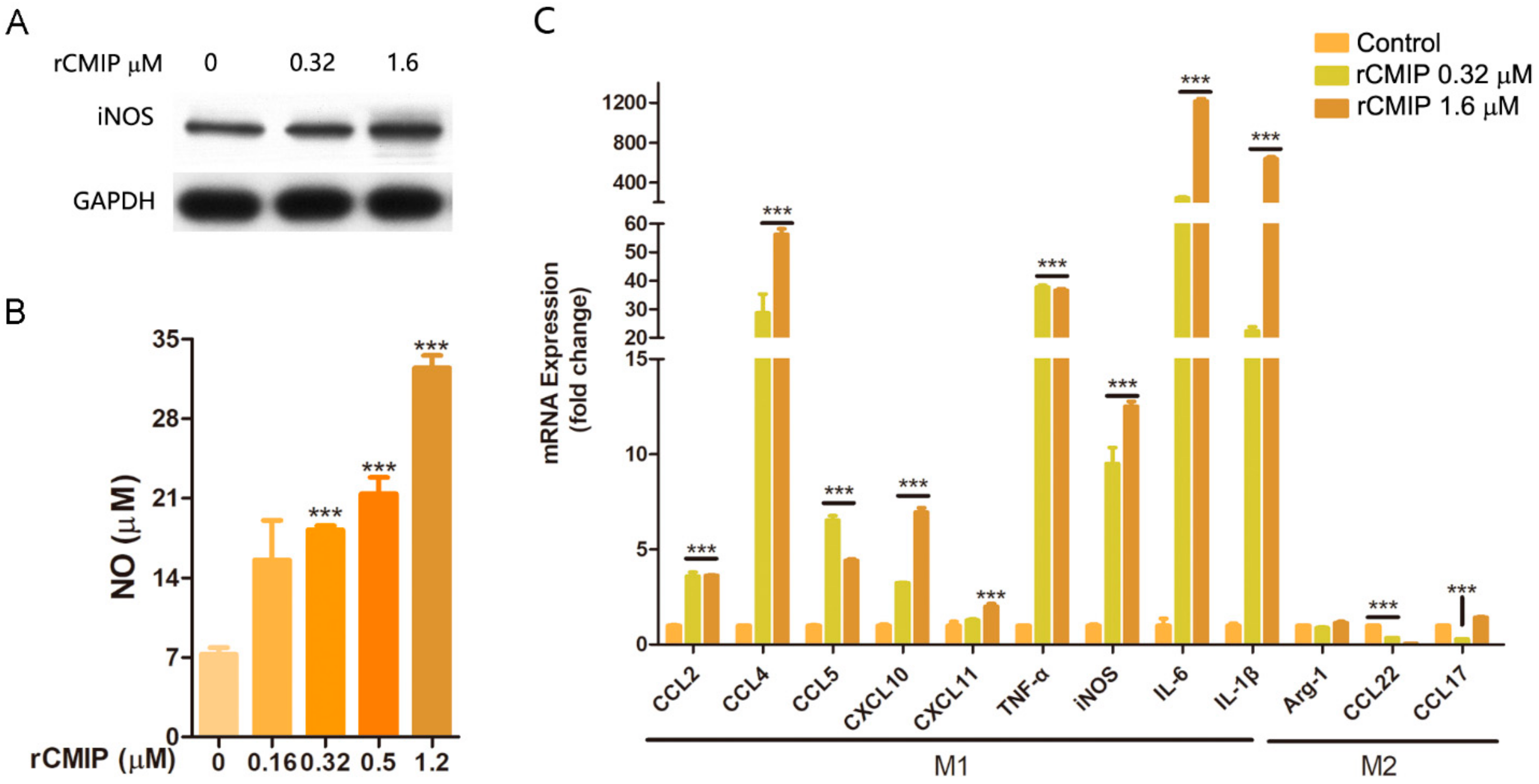 Molecules 26 07107 g005