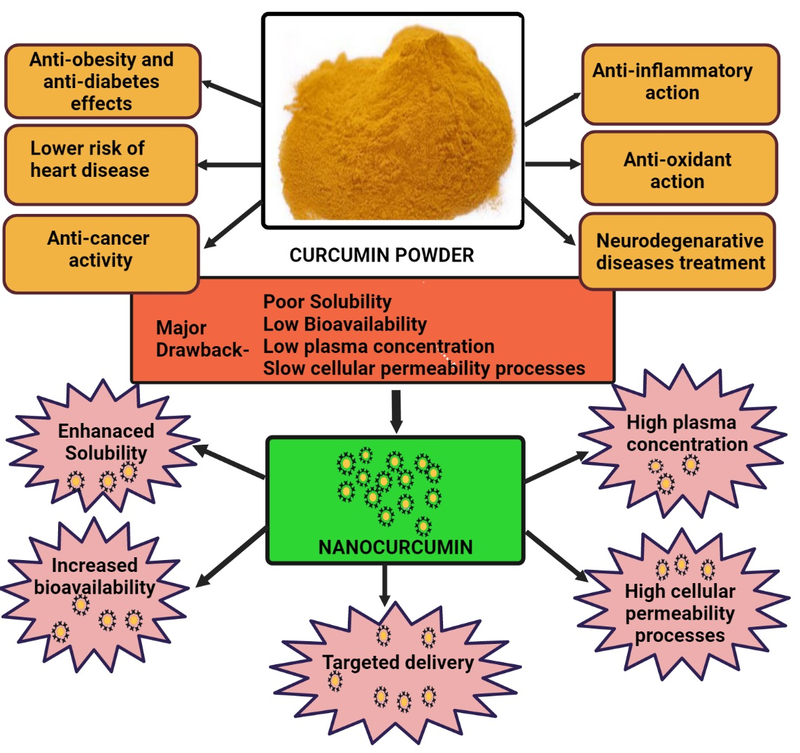 Molecules Free Full Text The Multifaceted Role Of Curcumin In