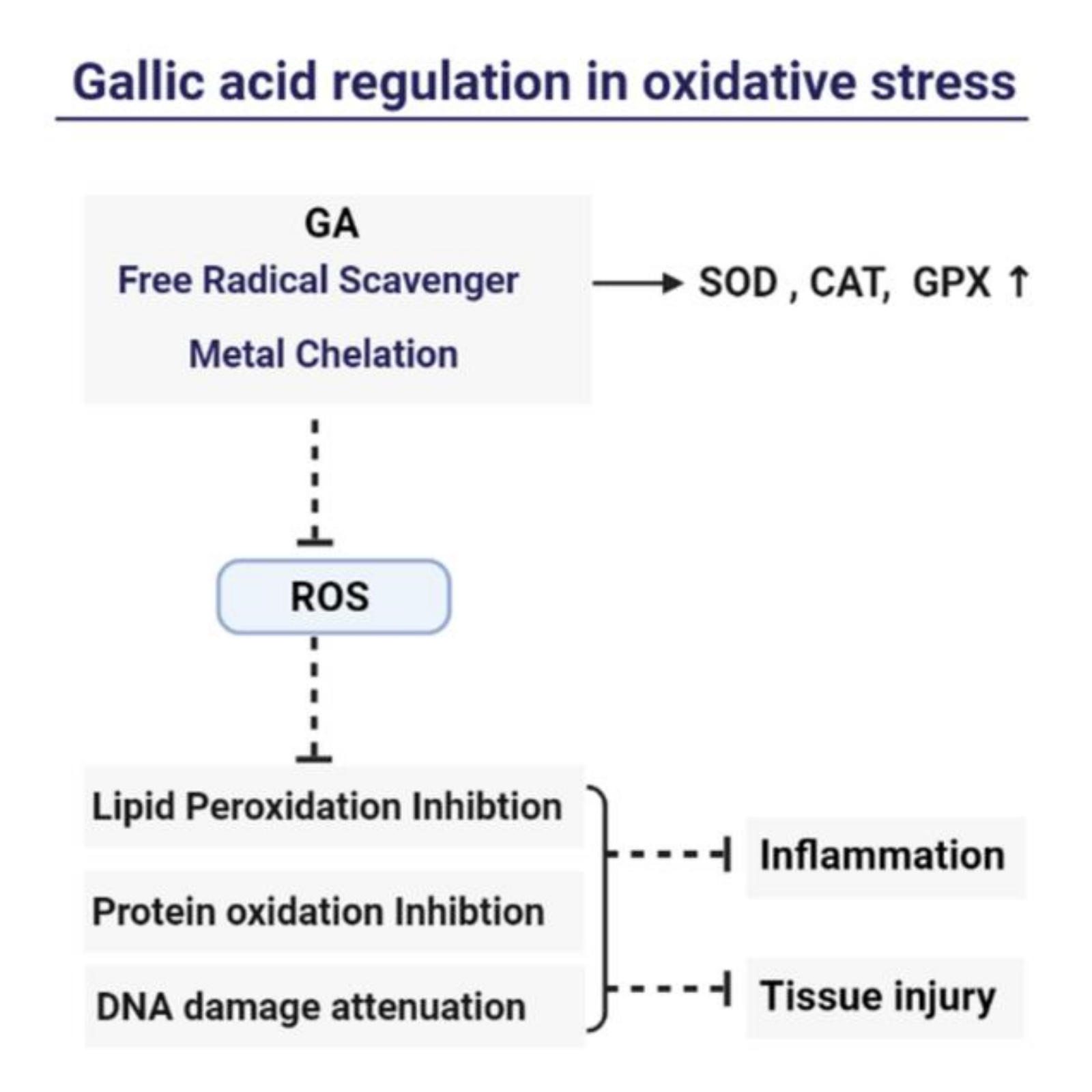 Molecules 26 07115 g002