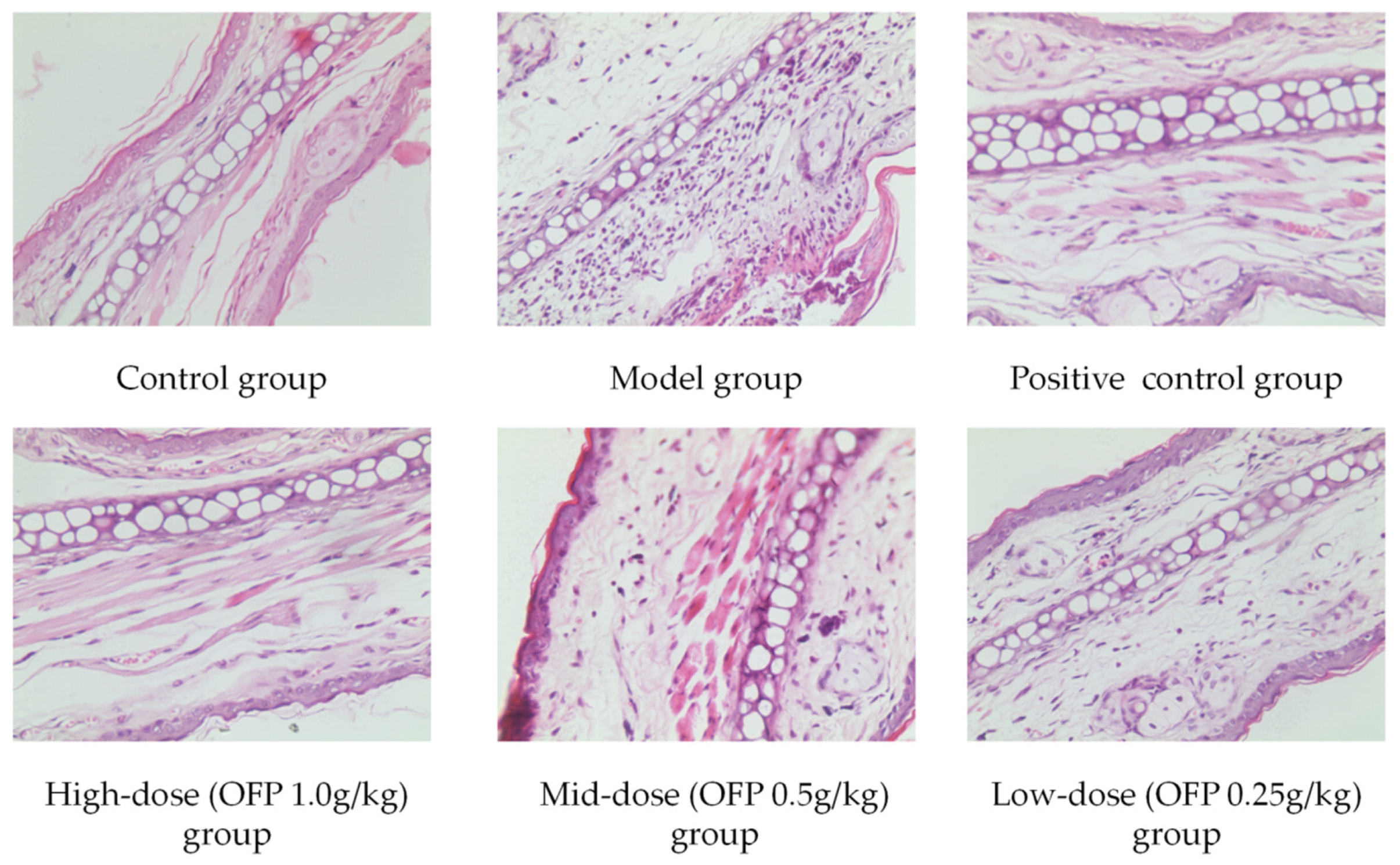 Molecules 26 07116 g008