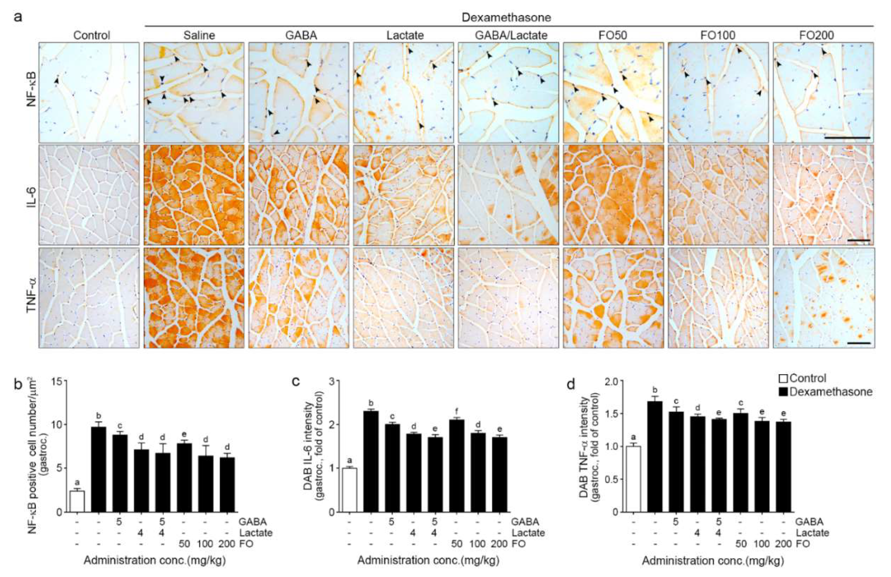 Molecules 26 07128 g002