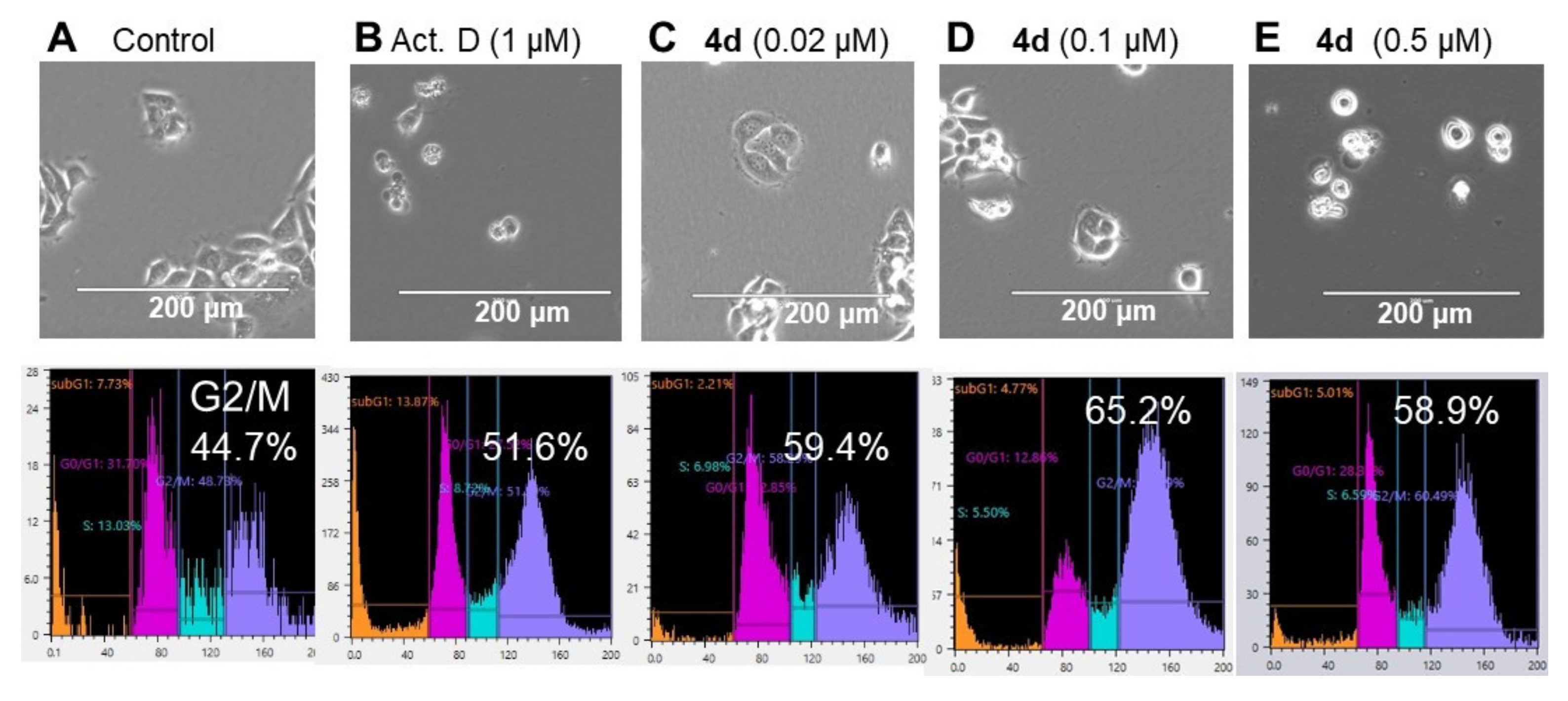 Molecules 26 07132 g004