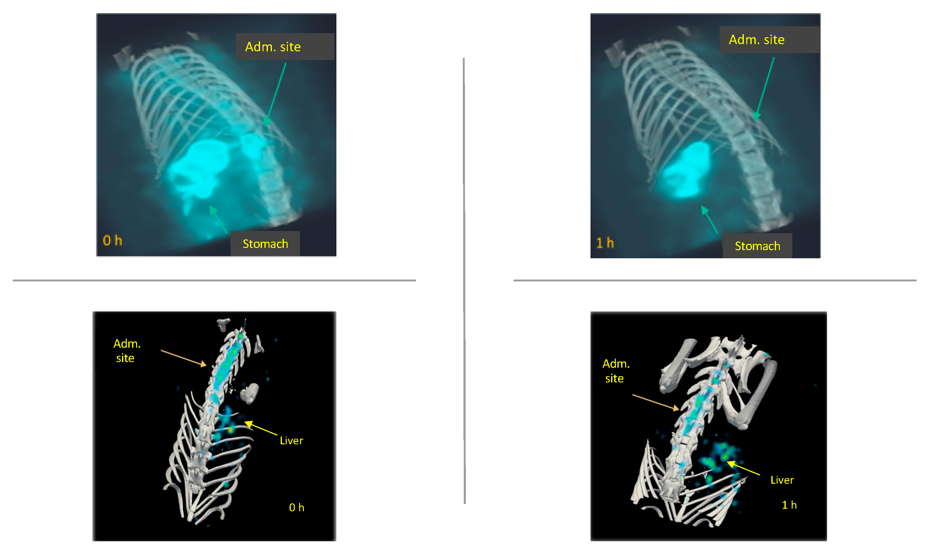 Molecules 26 07138 g007
