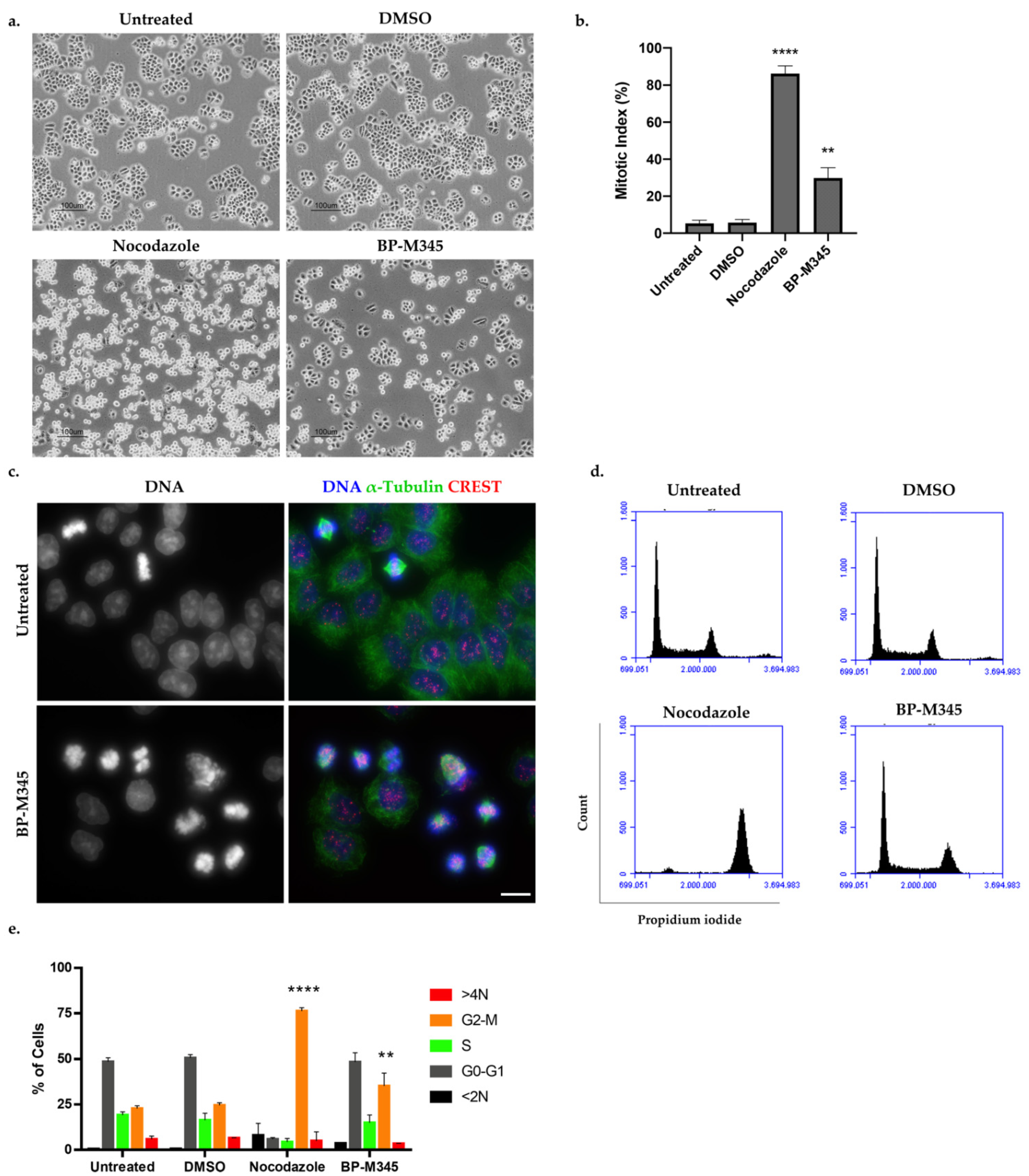 Molecules 26 07139 g002