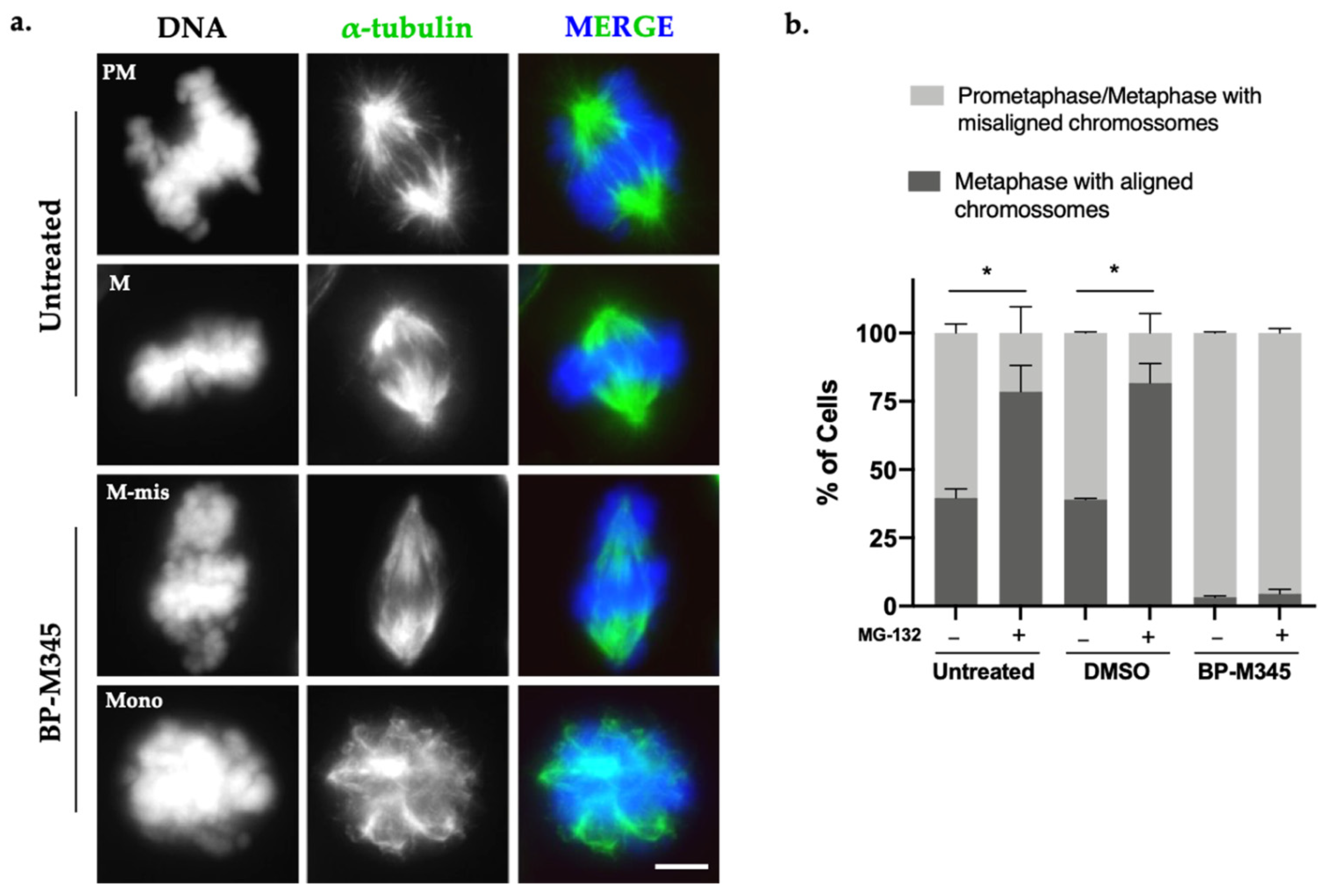 Molecules 26 07139 g003