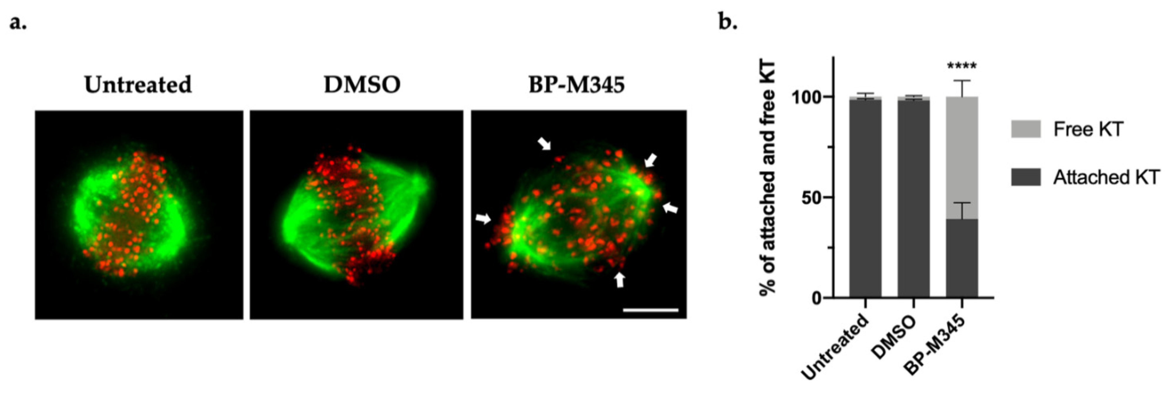 Molecules 26 07139 g004