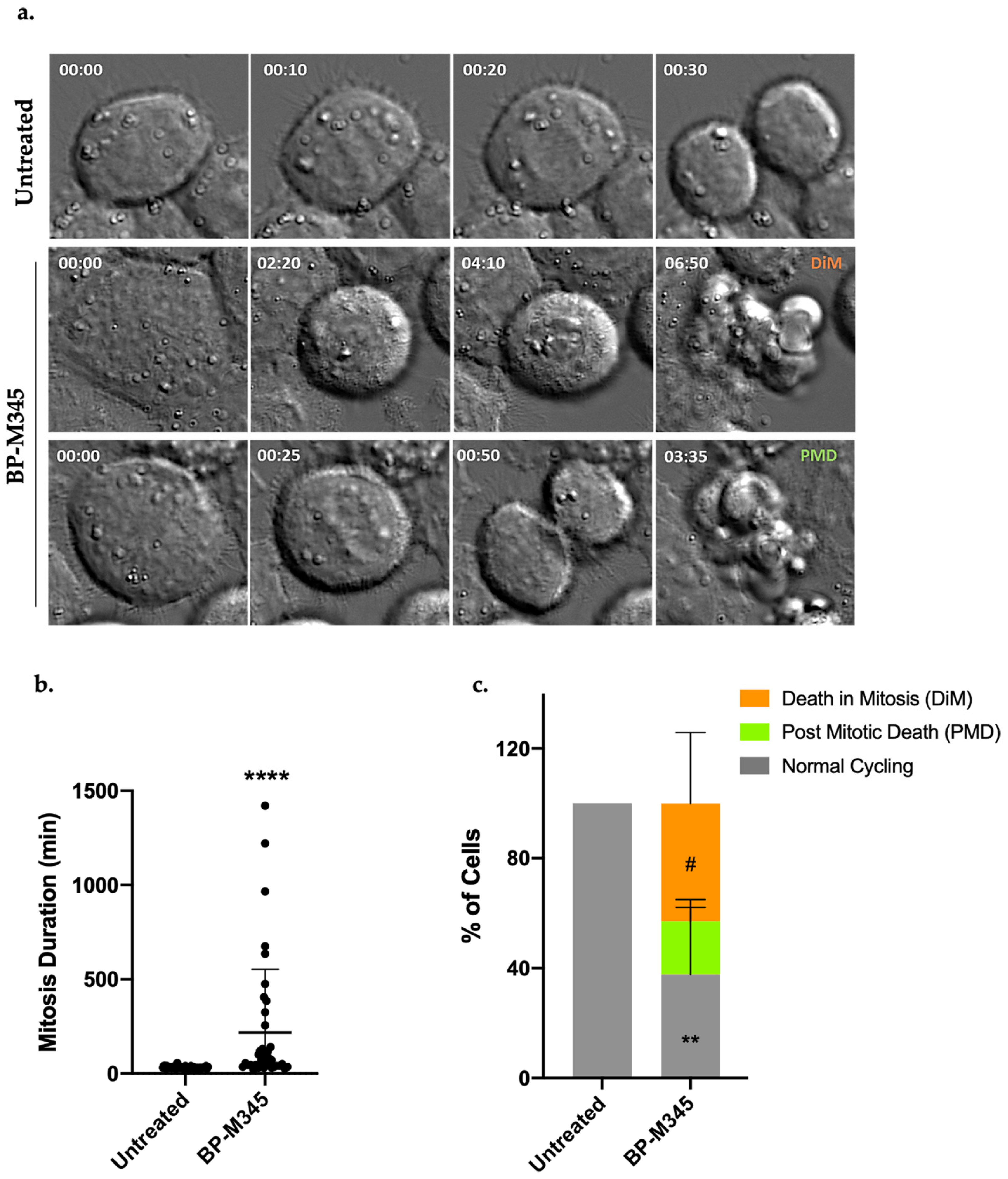 Molecules 26 07139 g006