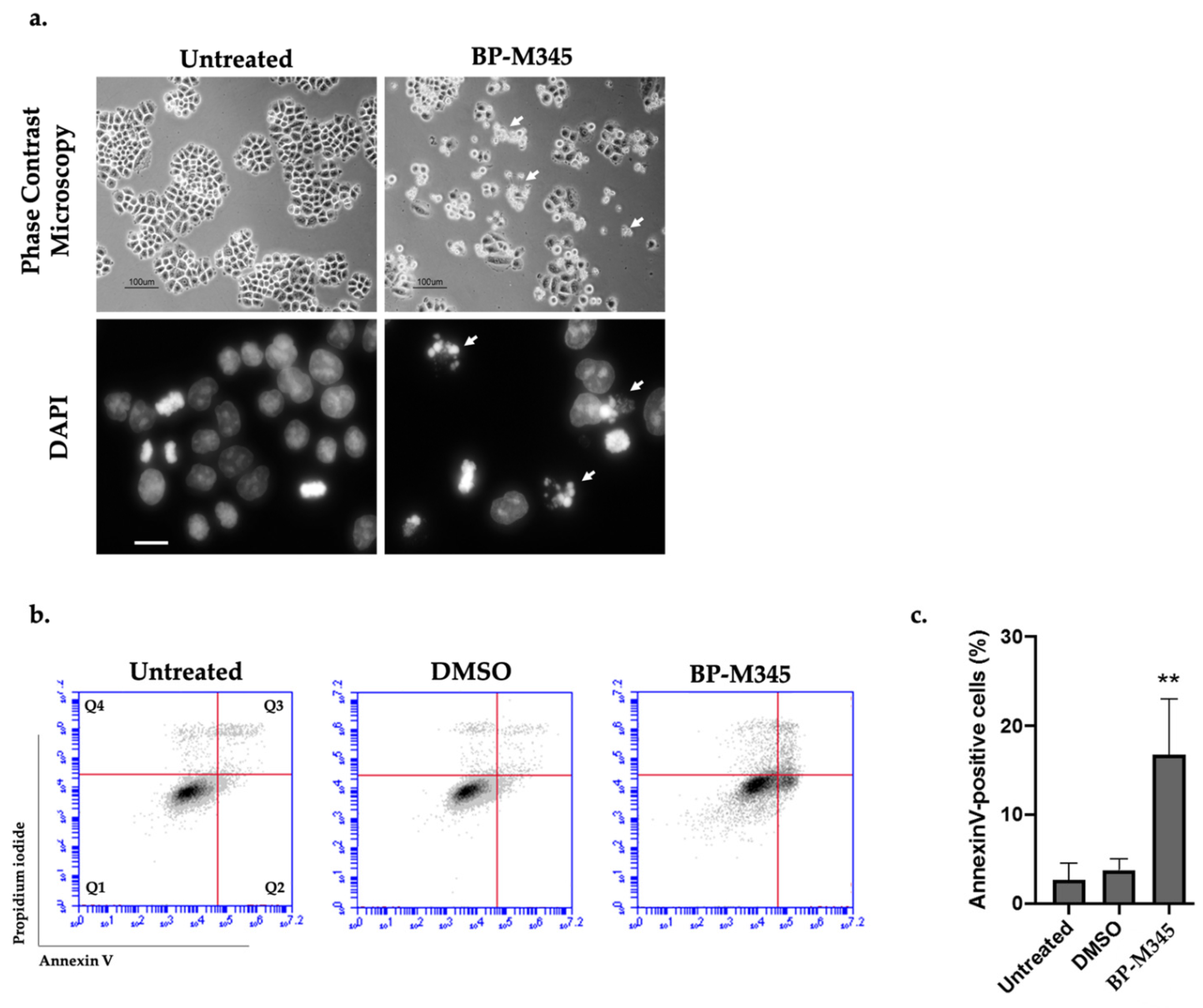 Molecules 26 07139 g007