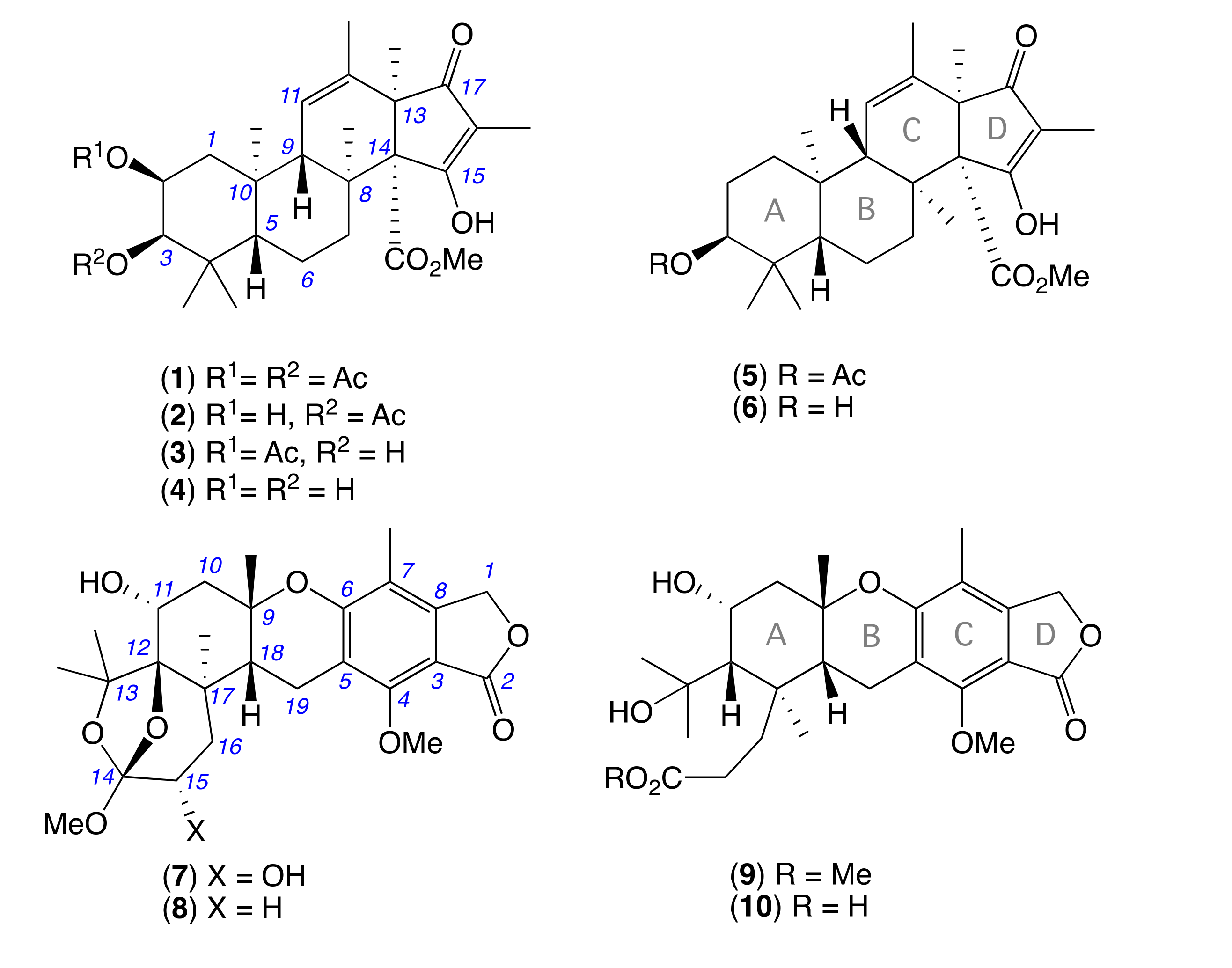 Molecules 26 07144 g001