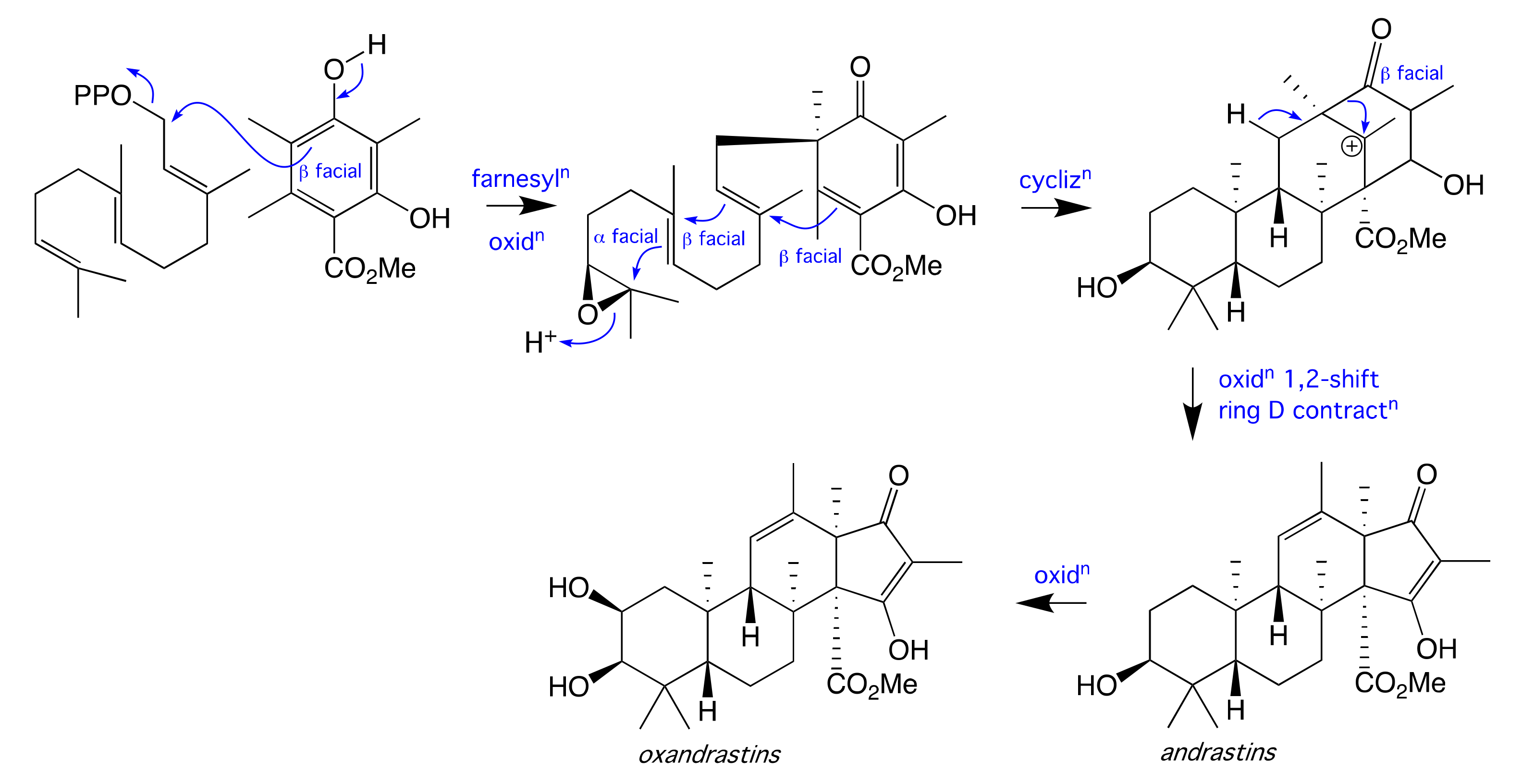 Molecules 26 07144 g006