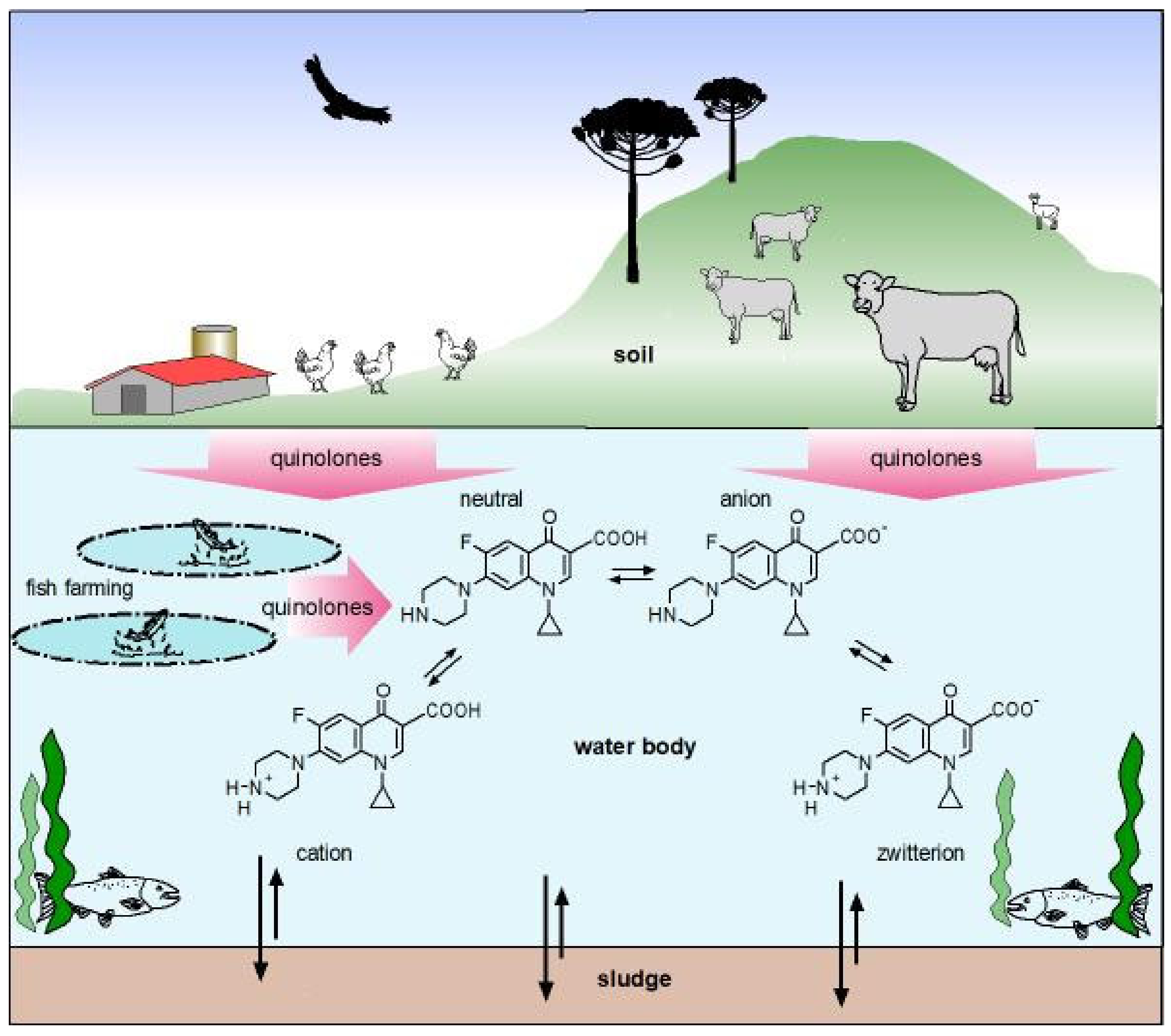 Molecules 26 07153 g005