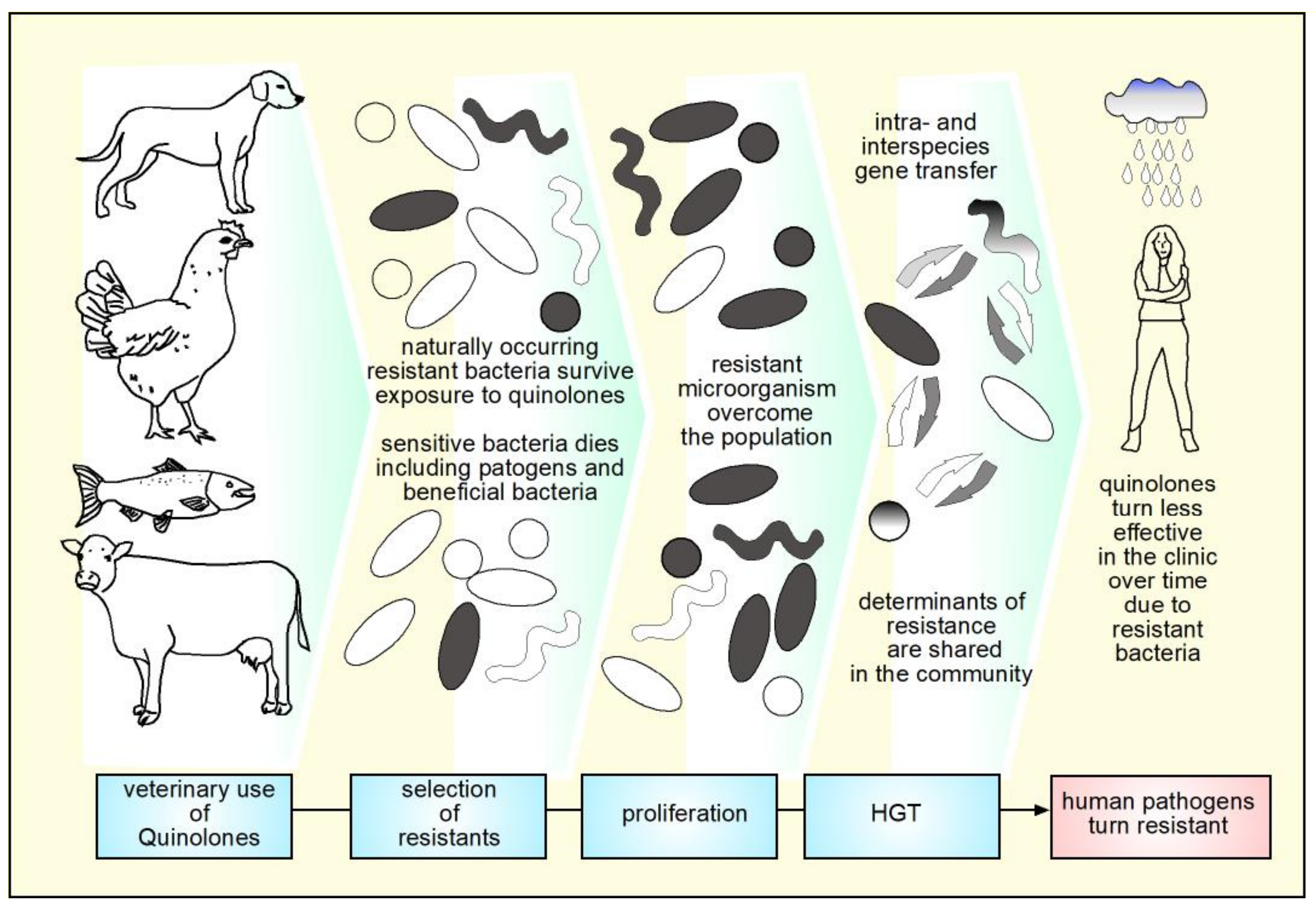 Molecules 26 07153 g007