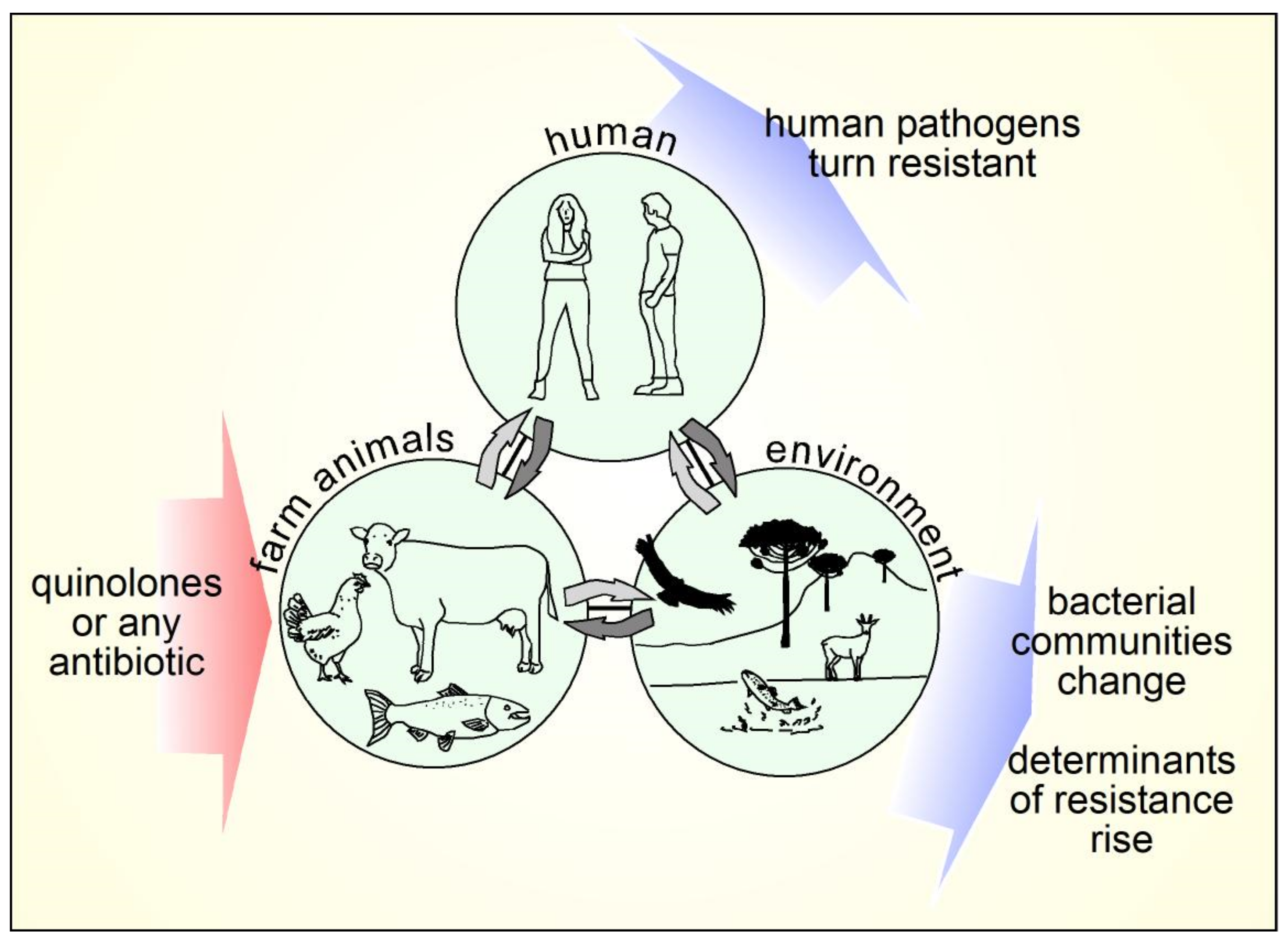Molecules 26 07153 g008