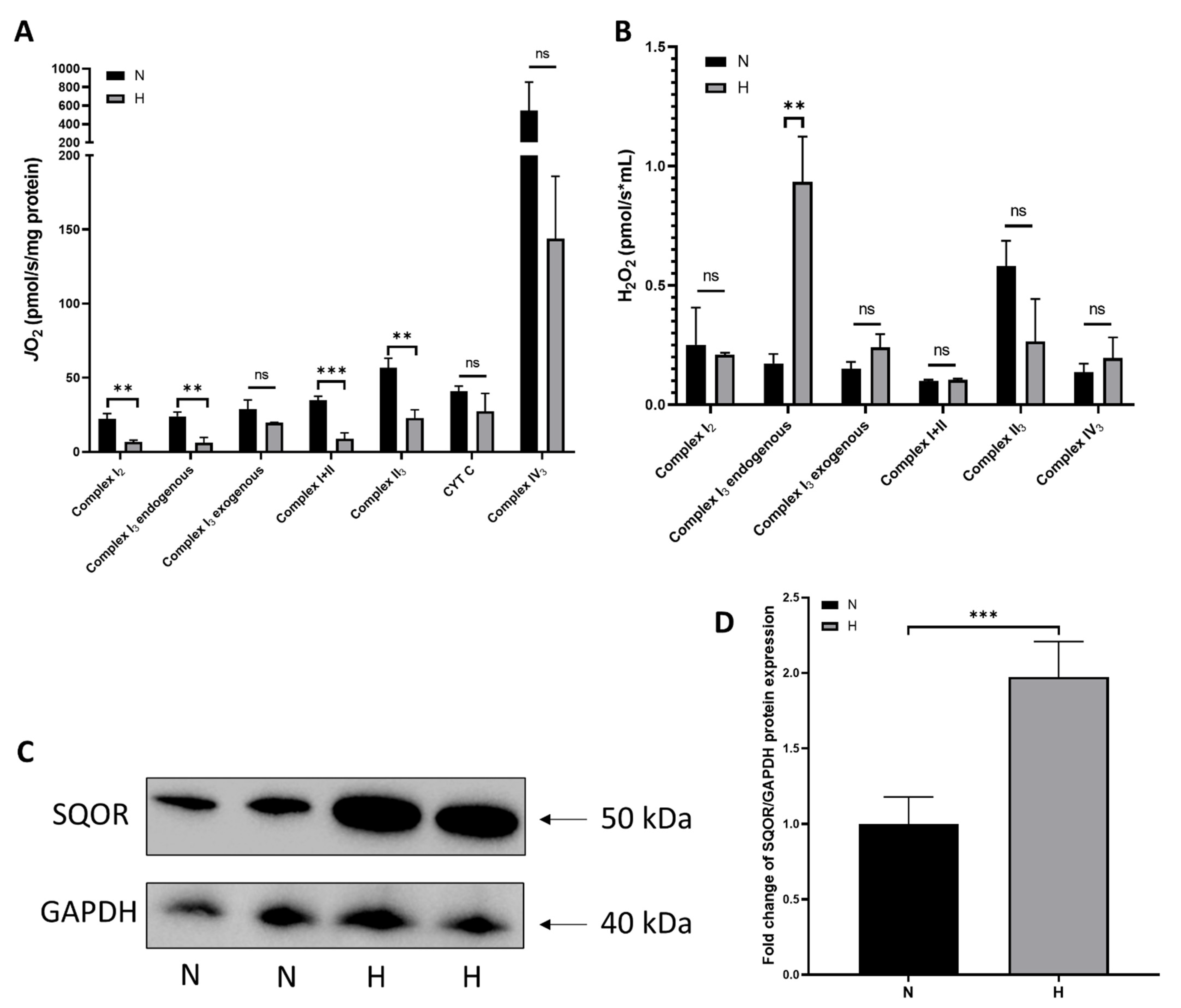 Molecules 26 07160 g004 Molecules 26 07160 g004