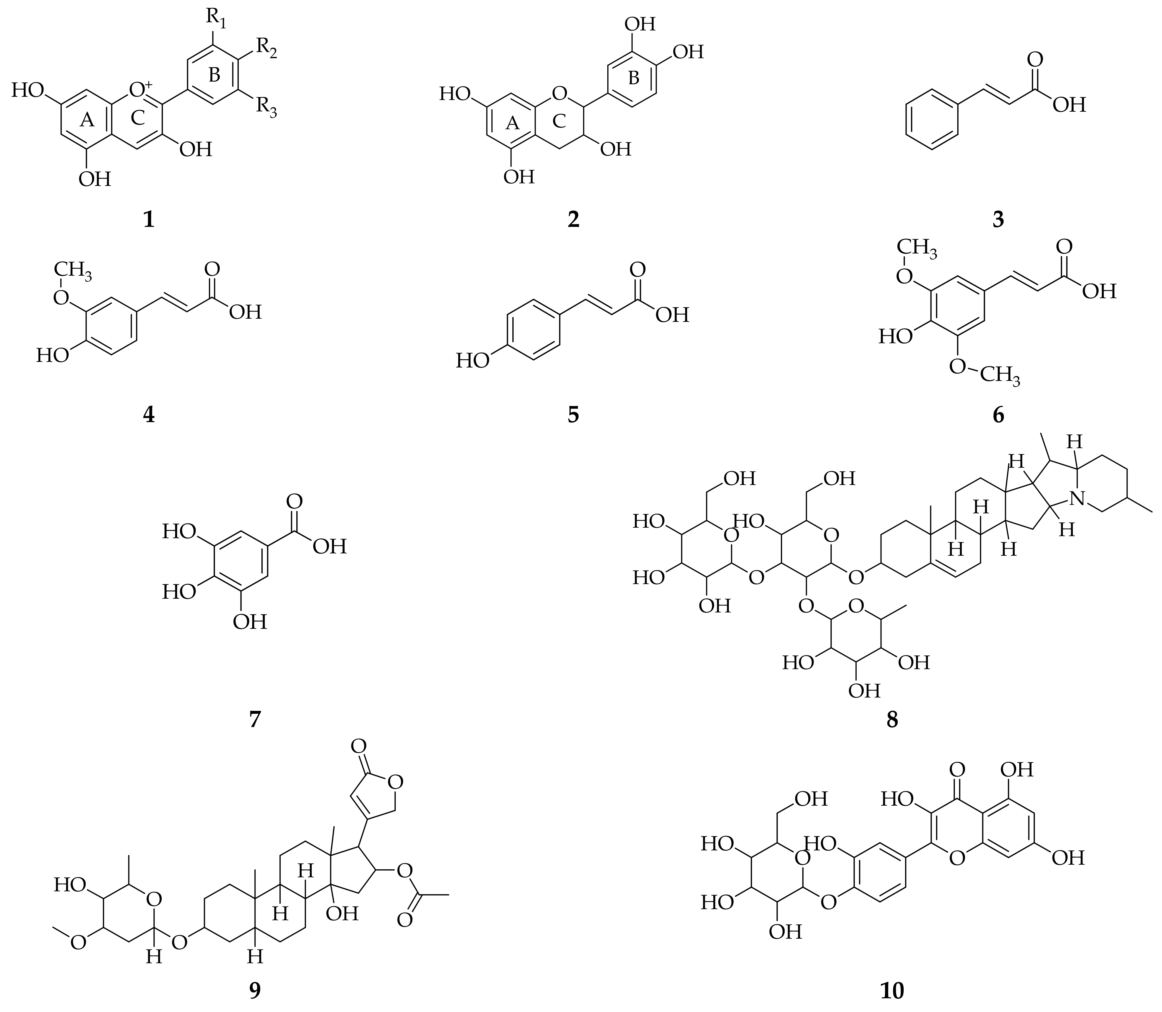 Molecules 26 07175 g001a