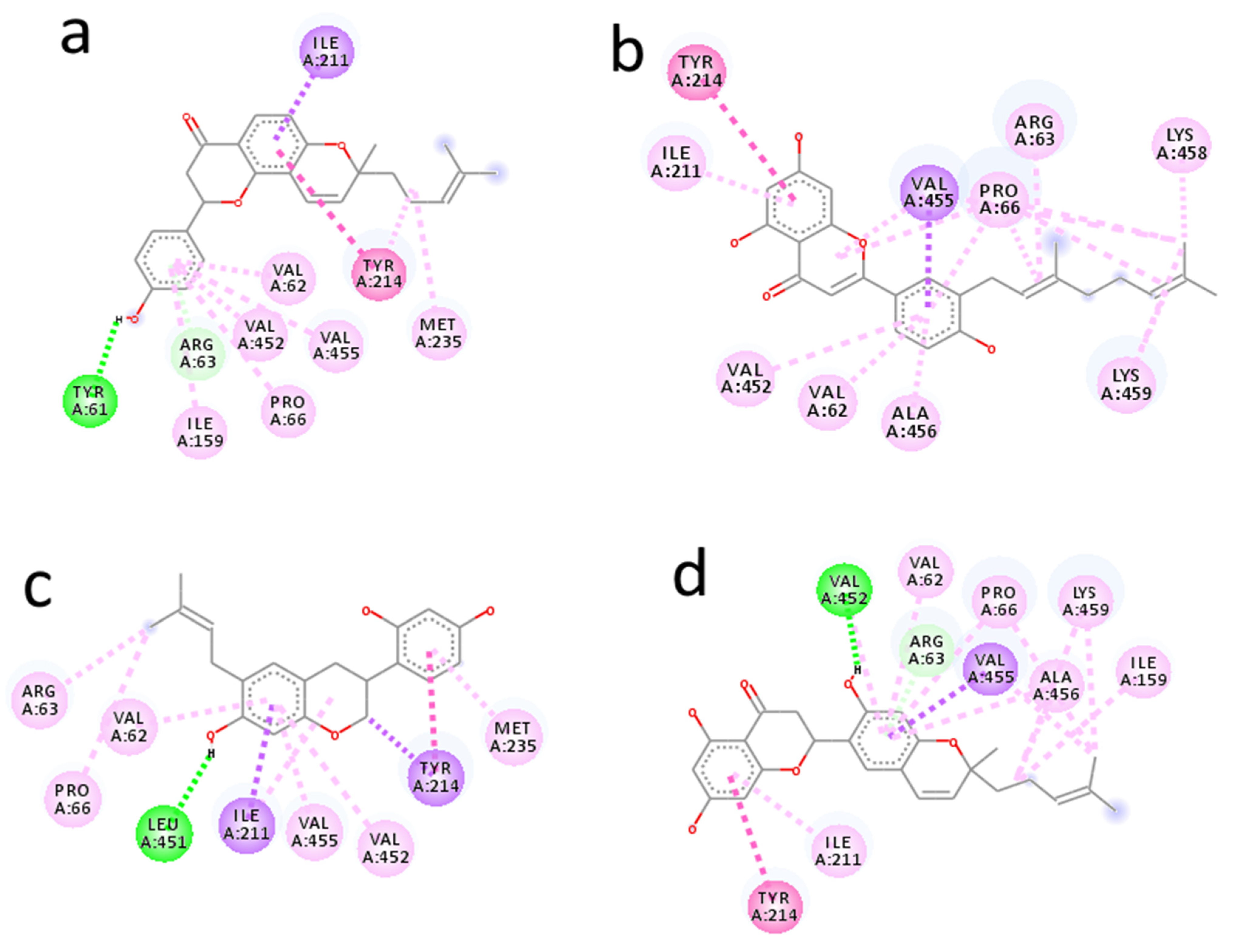 Molecules 26 07211 g002
