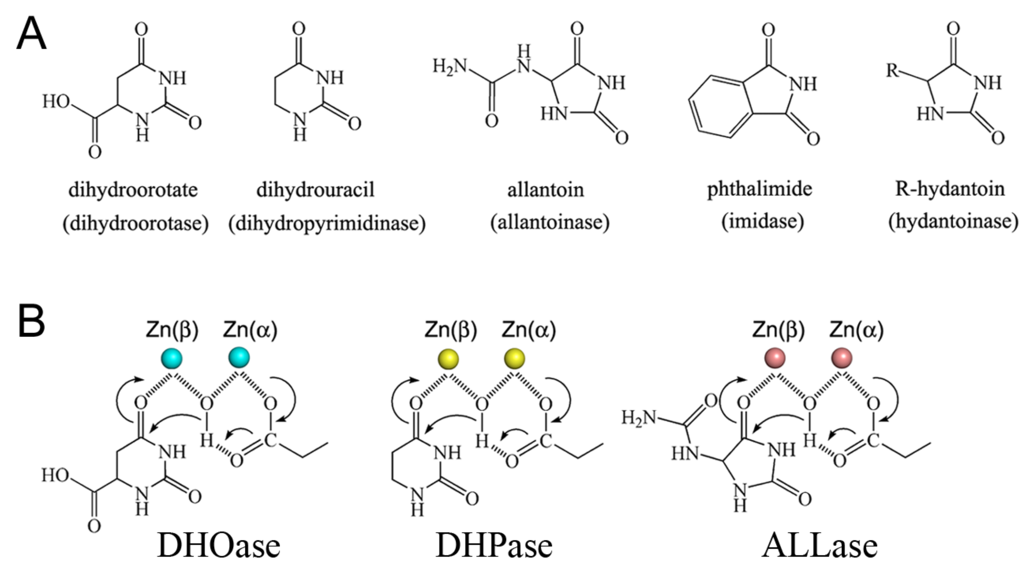 Molecules 26 07249 g002 Molecules 26 07249 g002