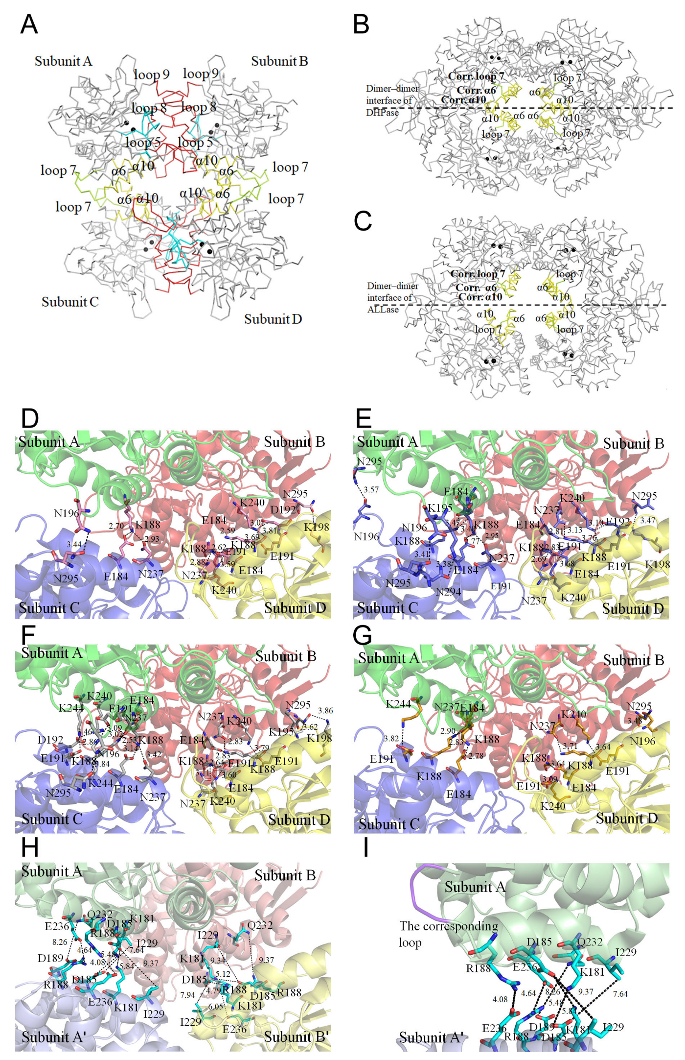 Molecules 26 07249 g006 Molecules 26 07249 g006