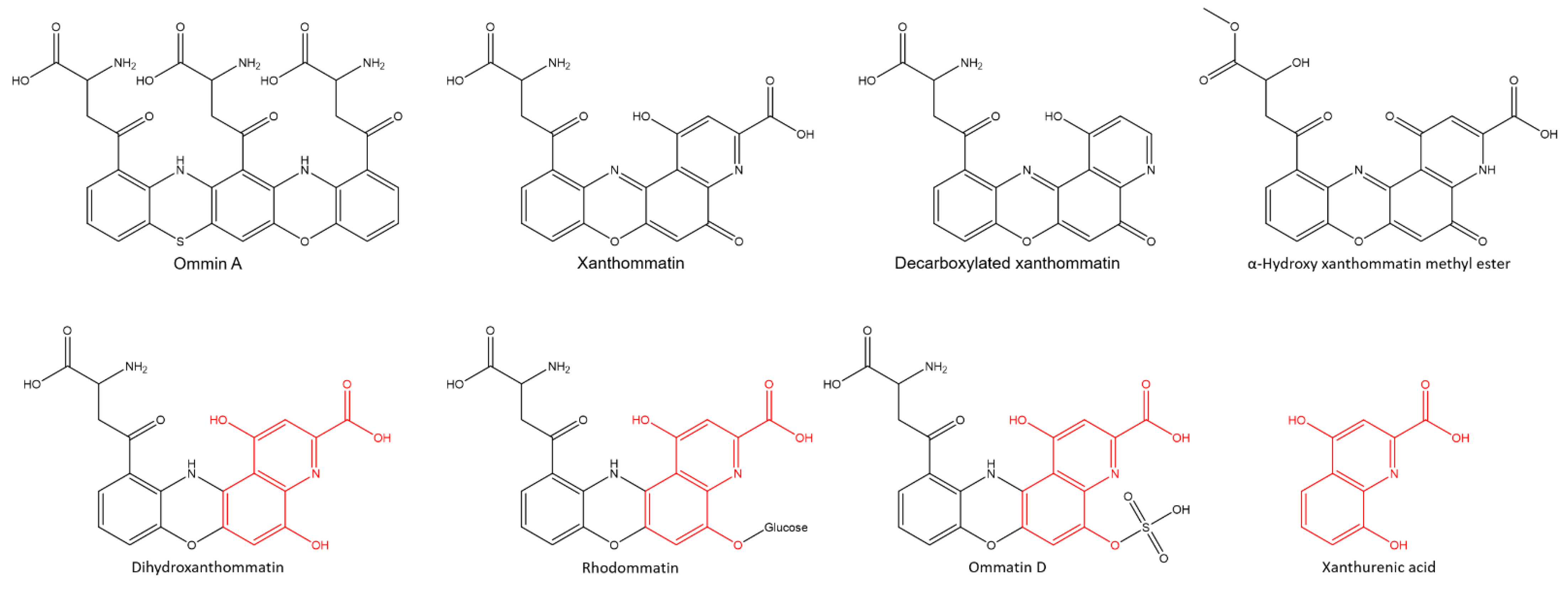 Molecules 26 07263 g004