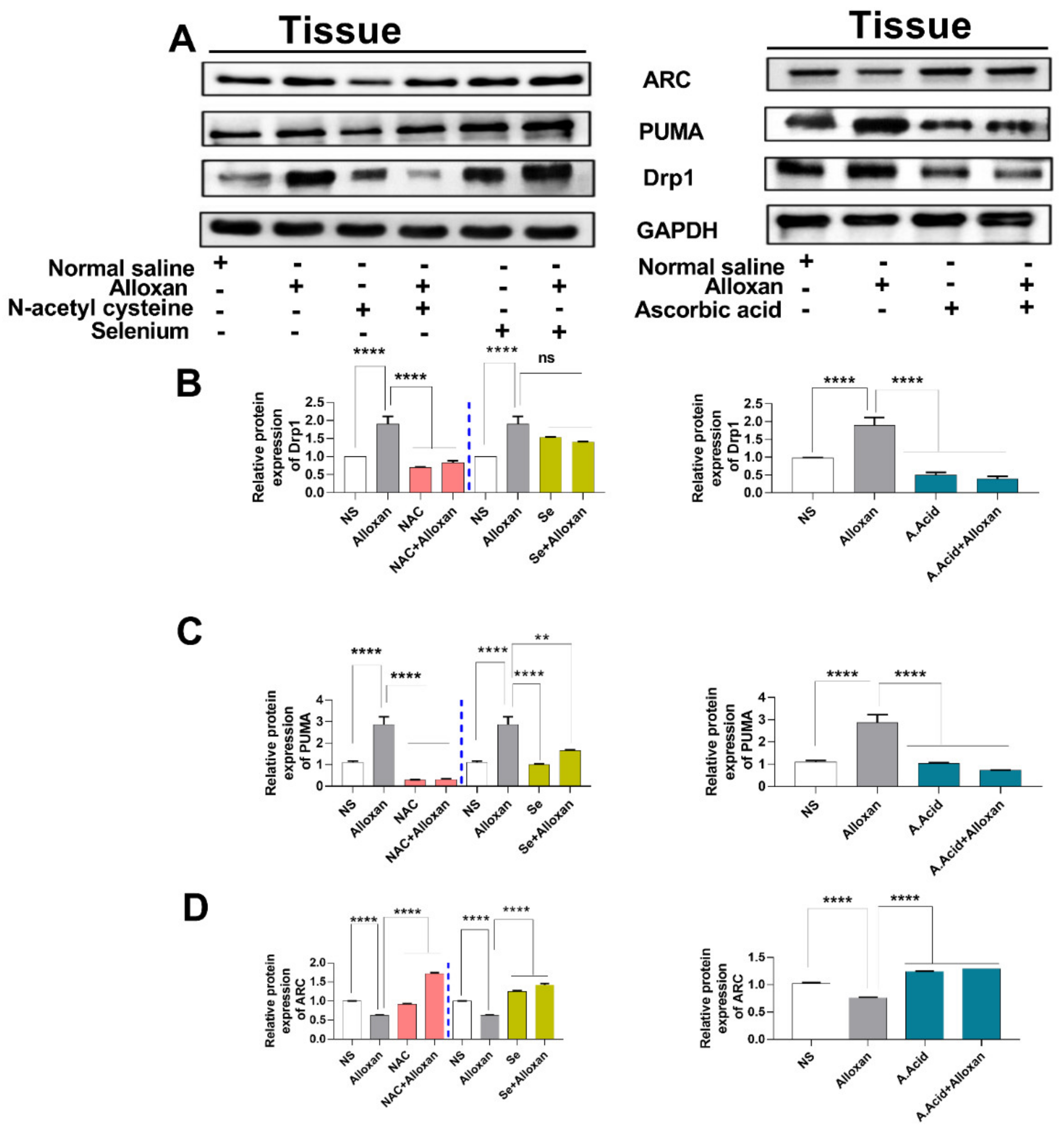 Molecules 26 07285 g006