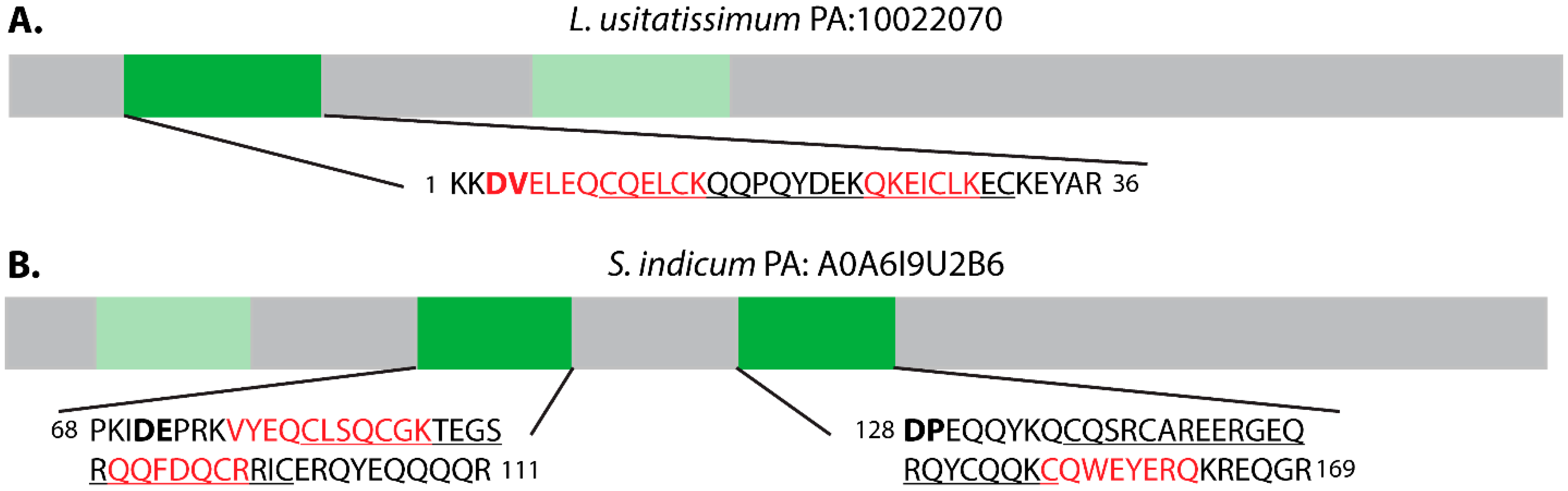 Molecules 26 07304 g004