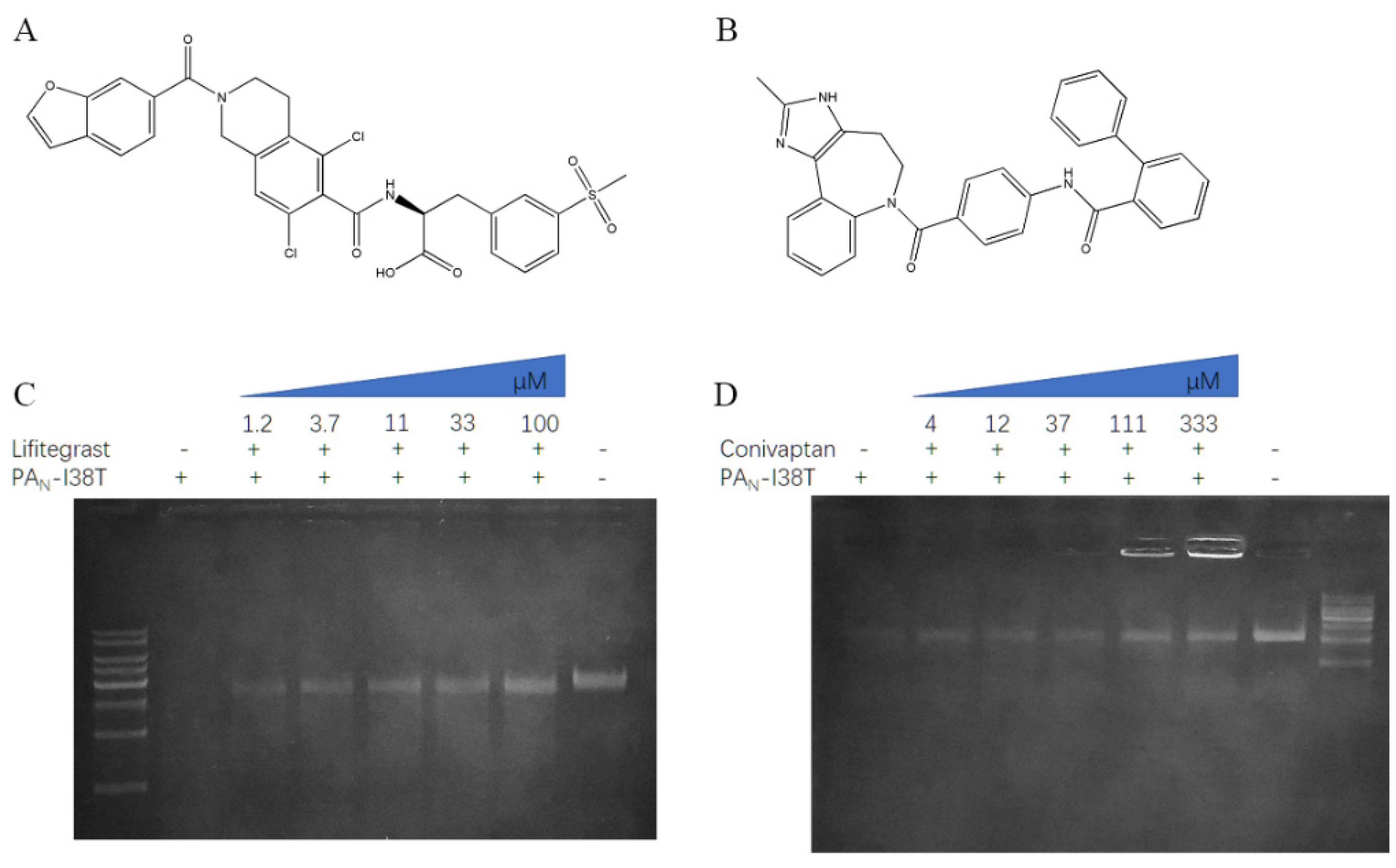 Molecules 26 07326 g003