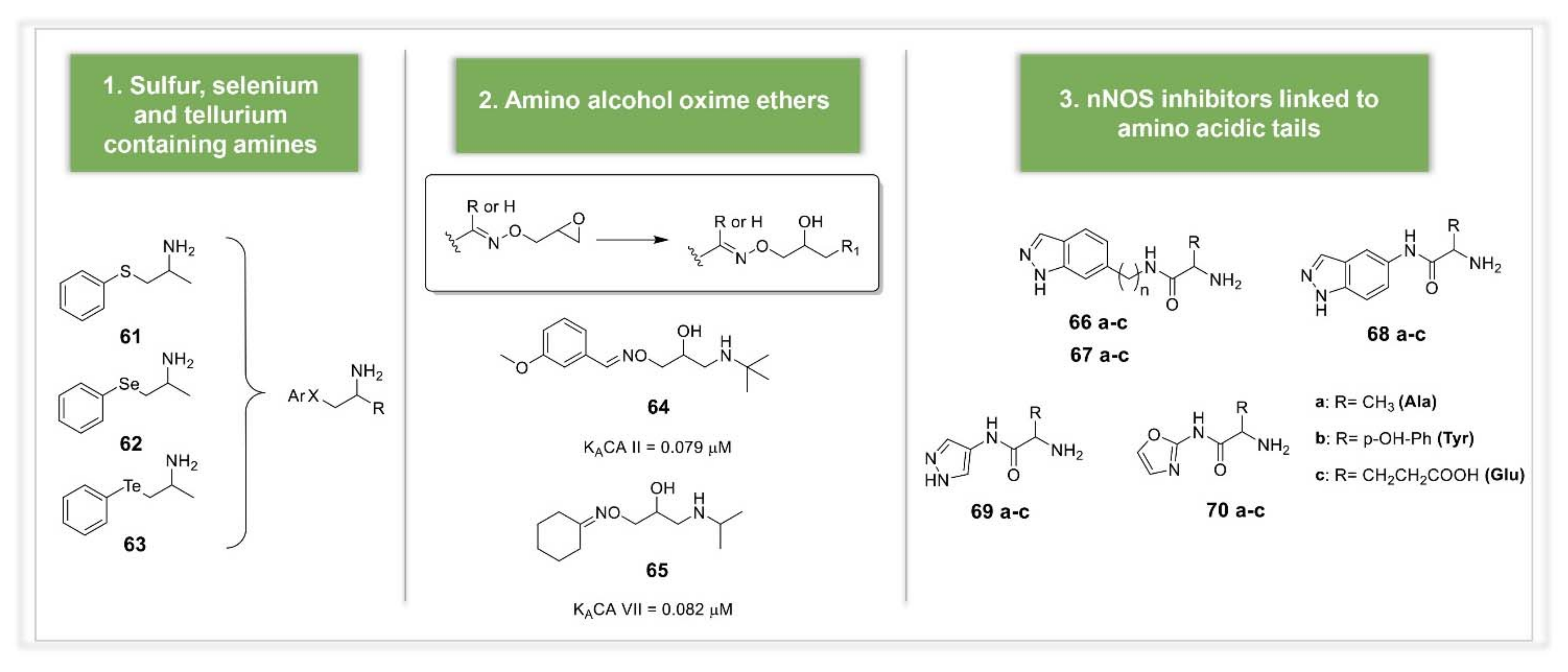 Molecules 26 07331 g009