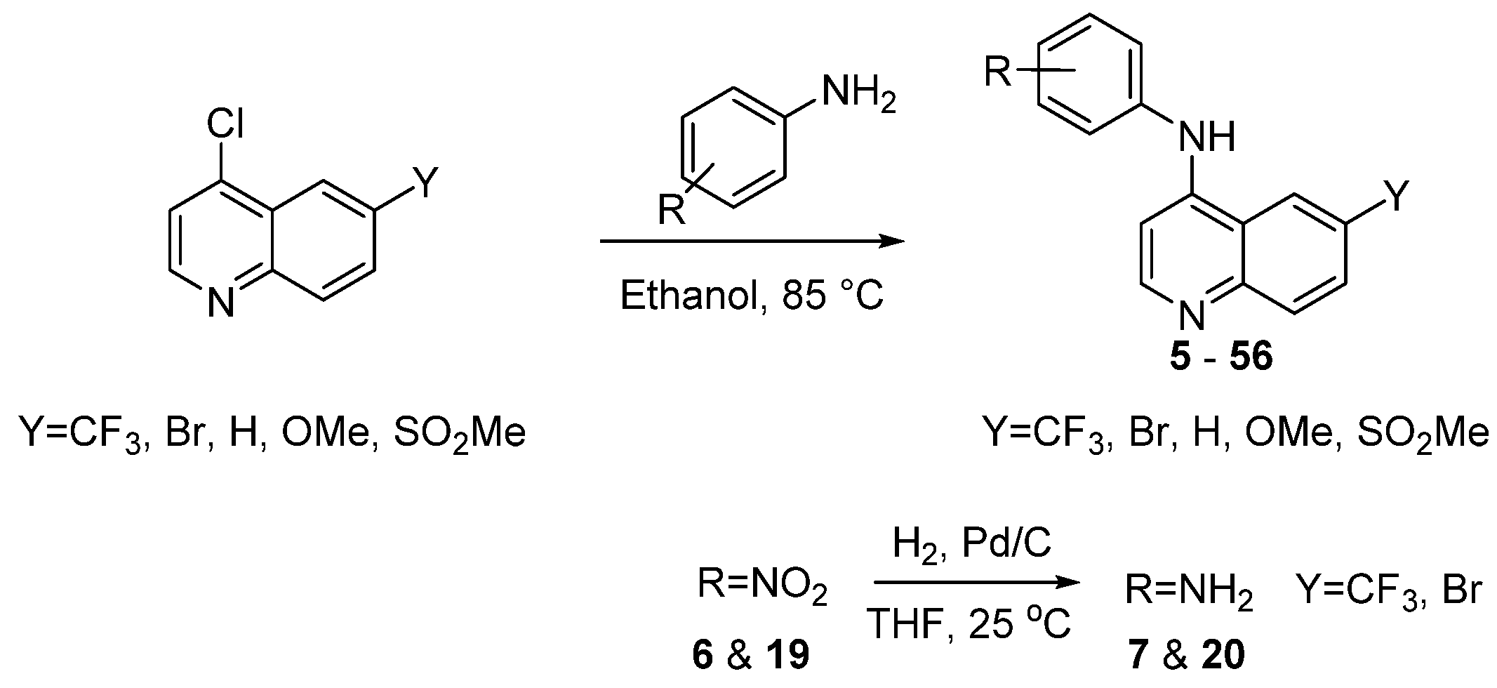 Molecules 26 07338 sch001