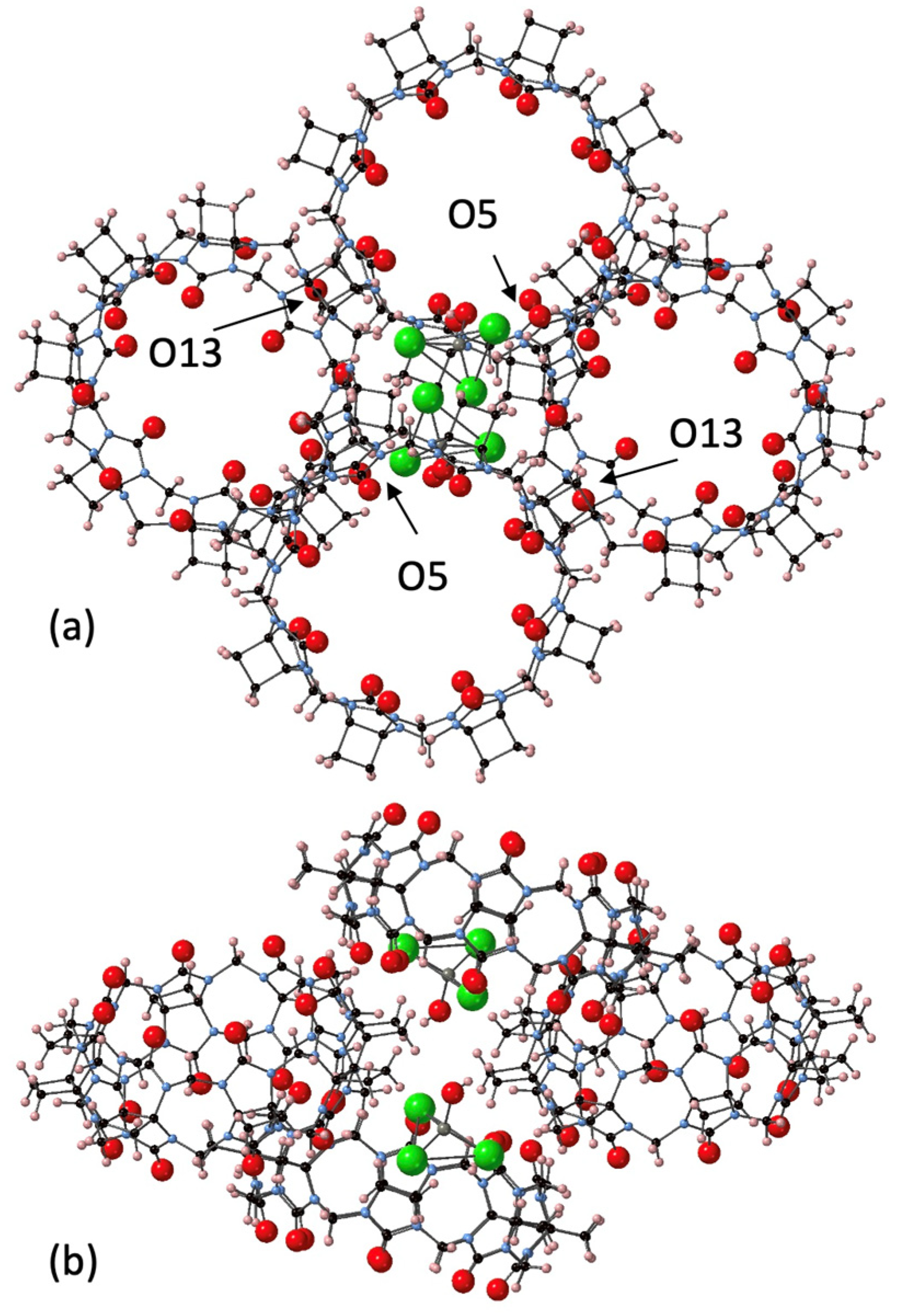 Molecules 26 07343 g005