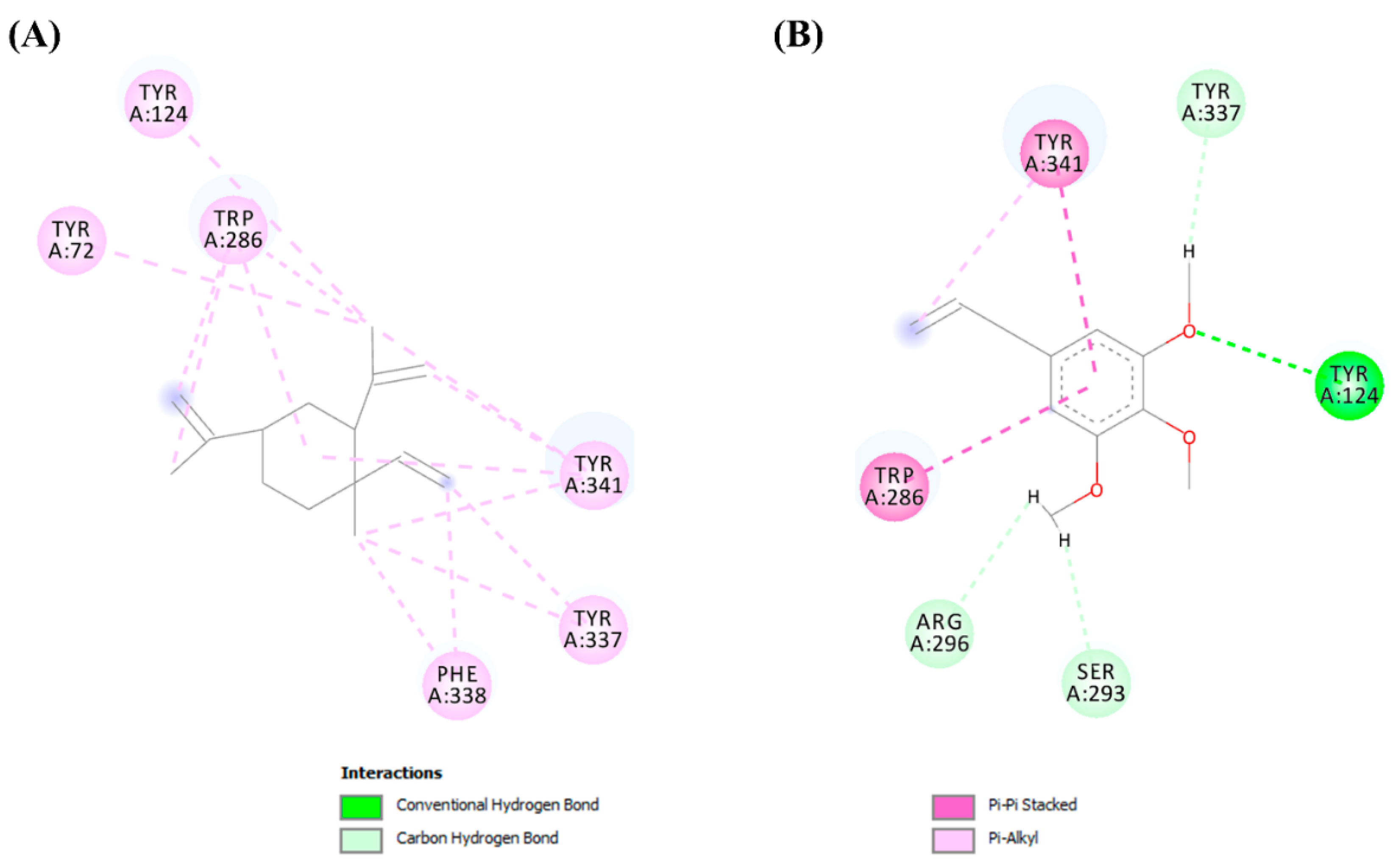 Molecules 26 07359 g008 Molecules 26 07359 g008