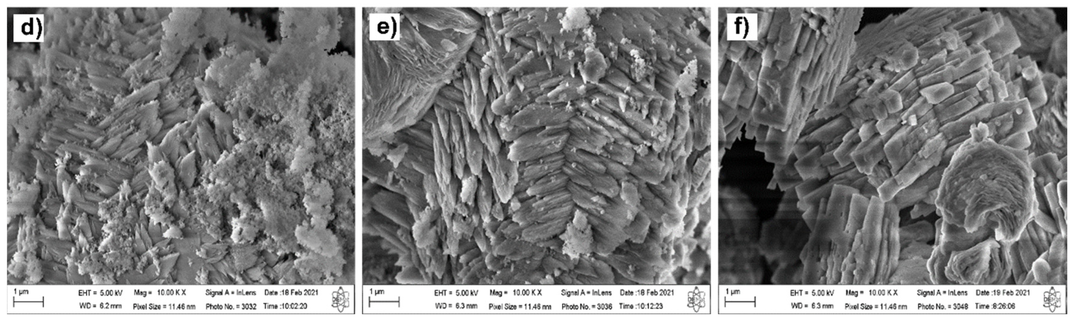 Molecules 26 07366 g003b Molecules 26 07366 g003b