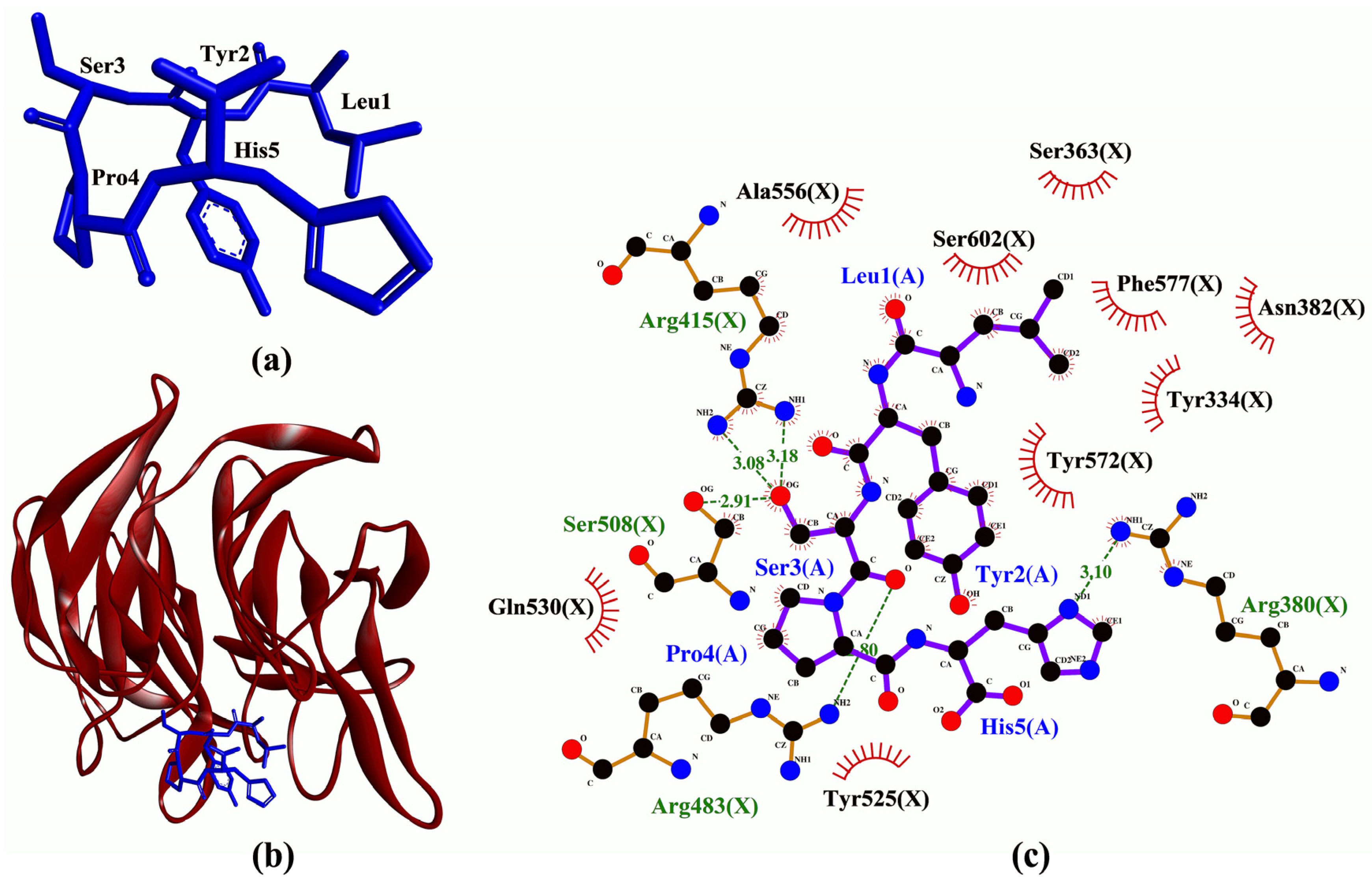 Molecules 26 07396 g003