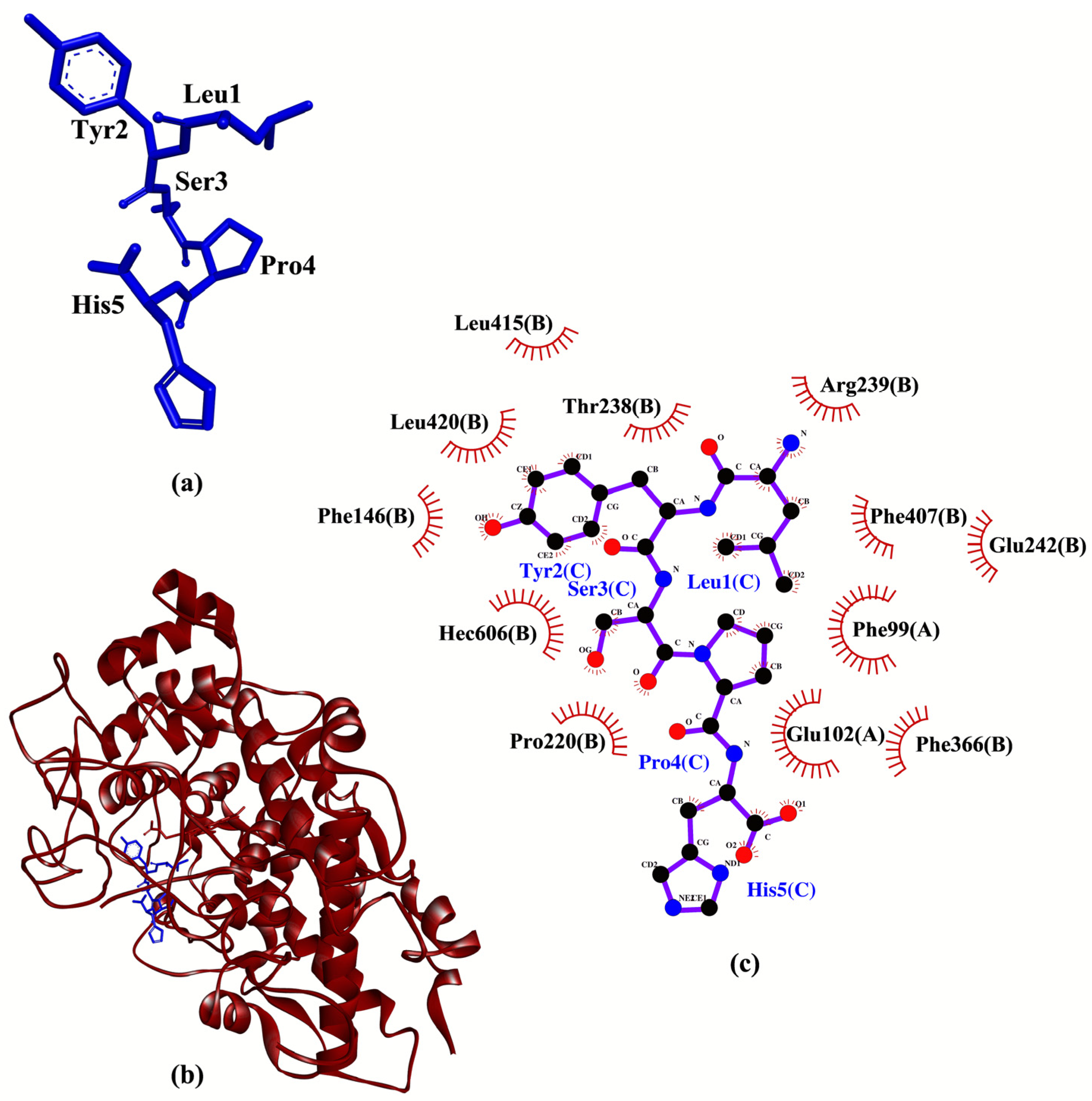 Molecules 26 07396 g004