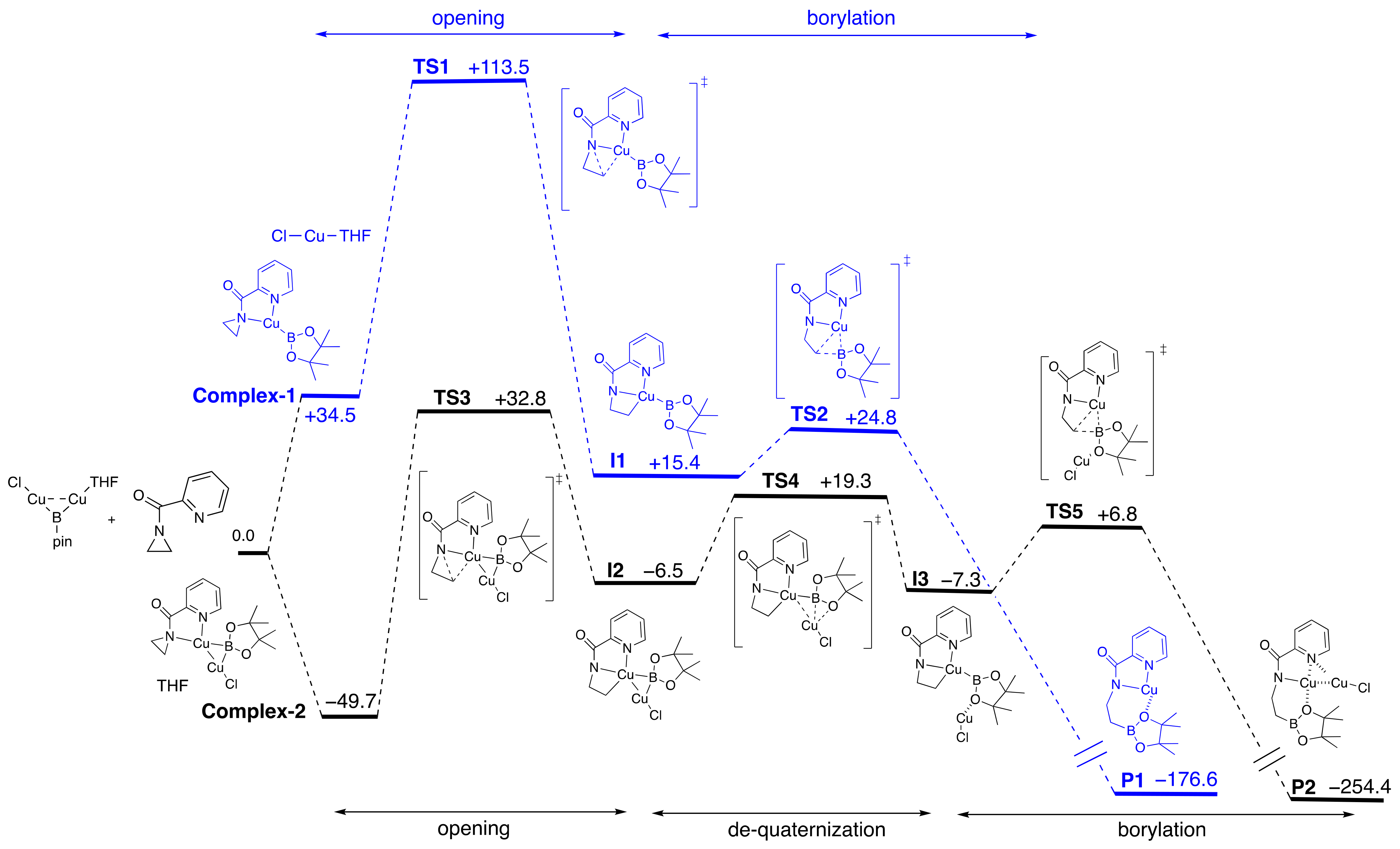 Molecules 26 07399 g002