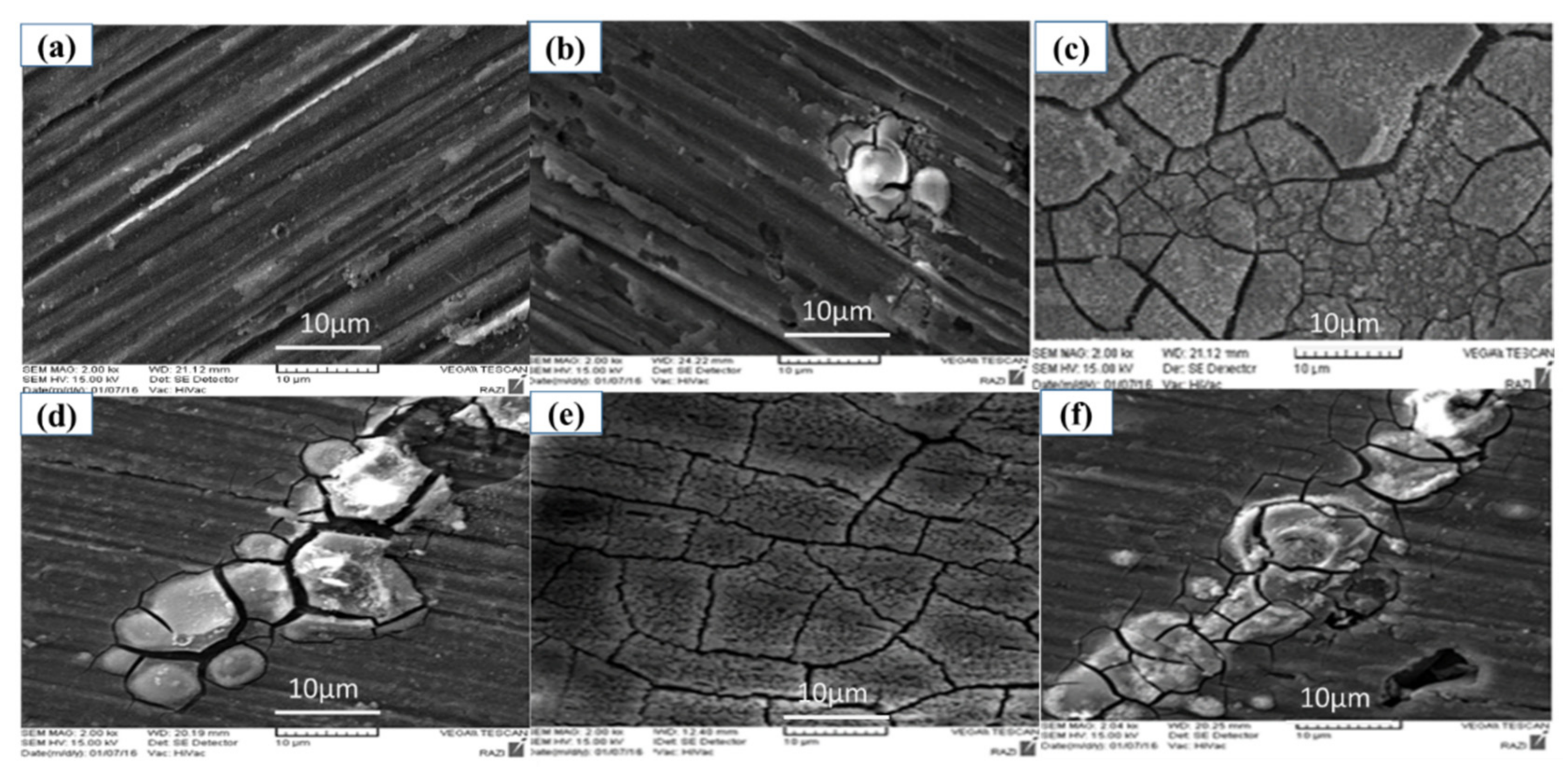 Molecules 26 07413 g006
