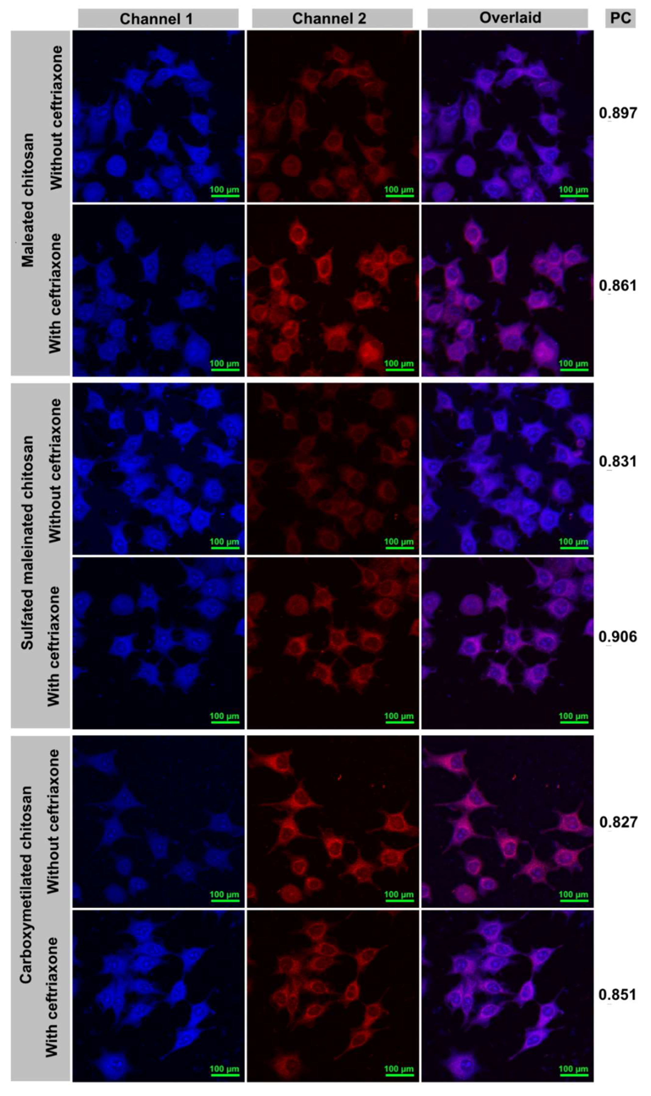 Molecules 26 07426 g010