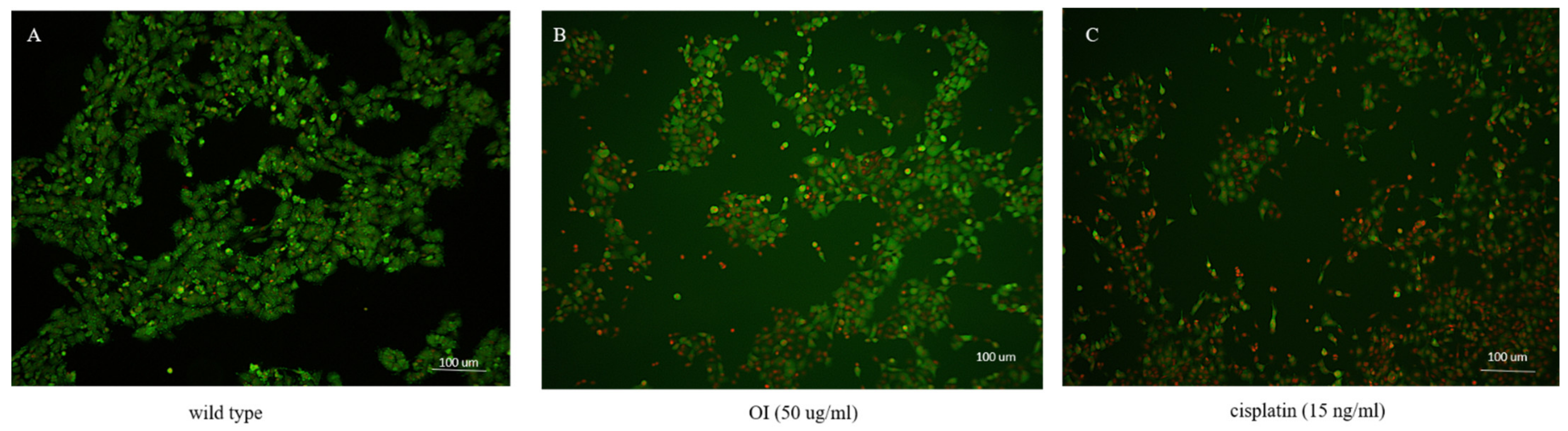 Molecules 26 07430 g004 Molecules 26 07430 g004