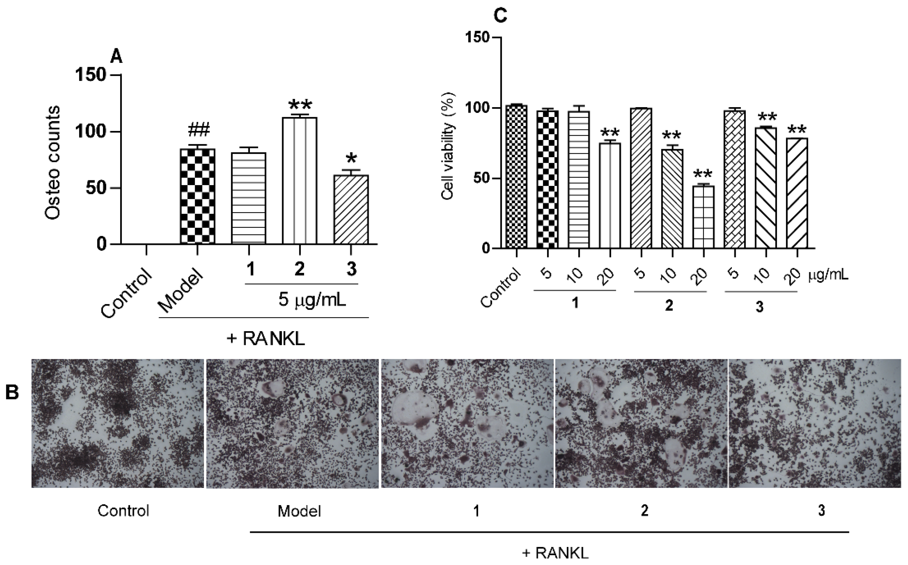 Molecules 26 07457 g007