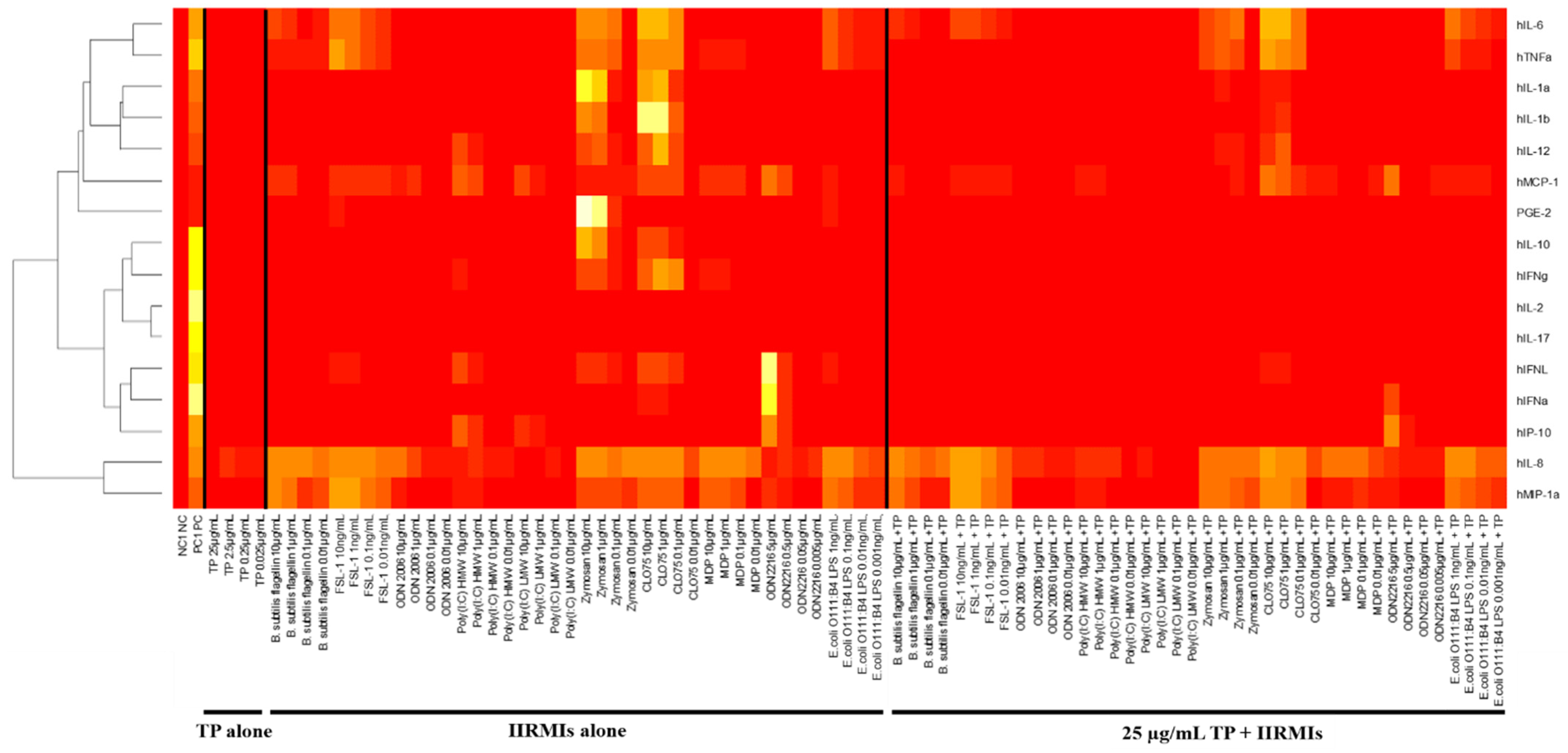 Molecules 26 07461 g004