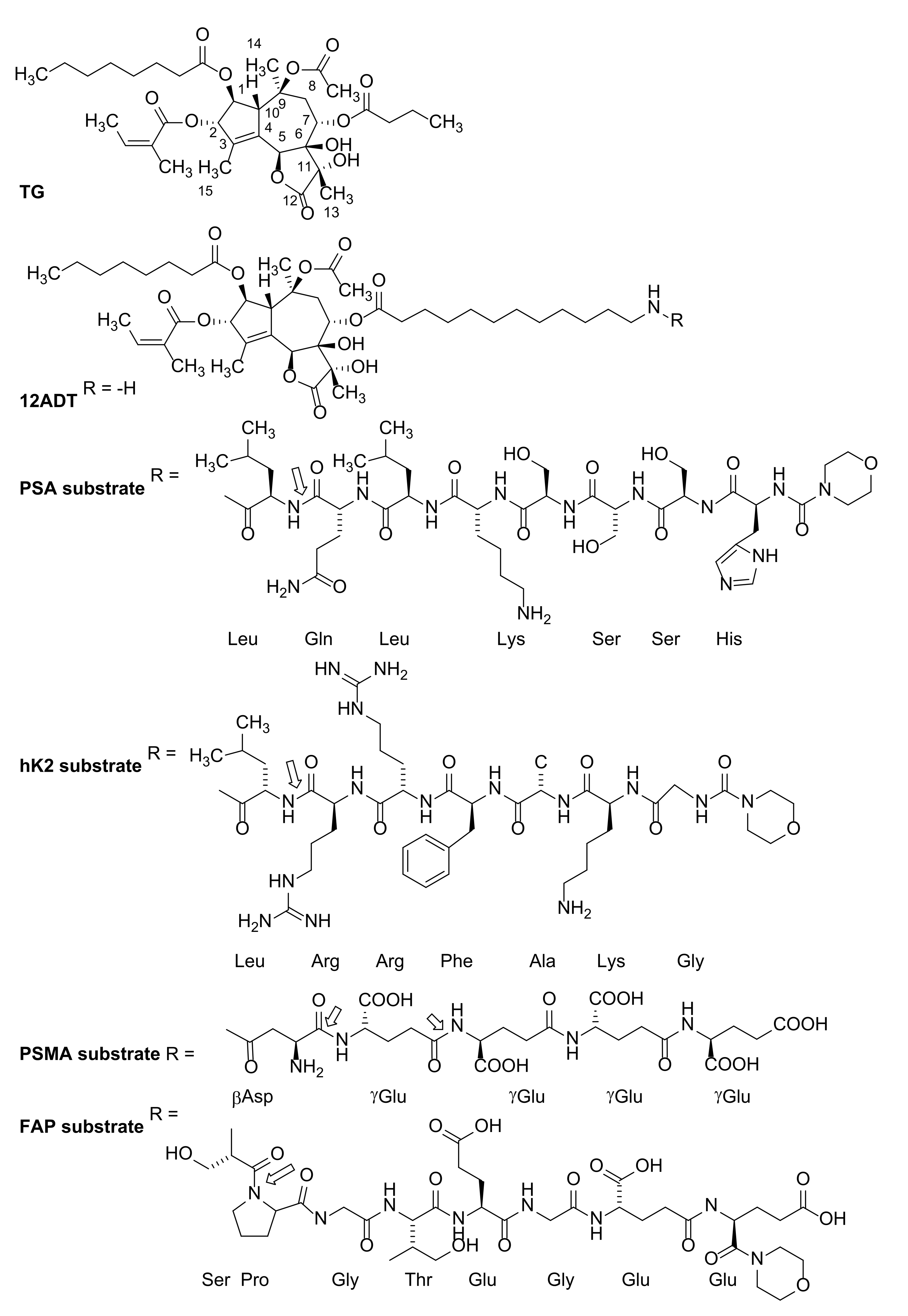 Molecules 26 07469 g001
