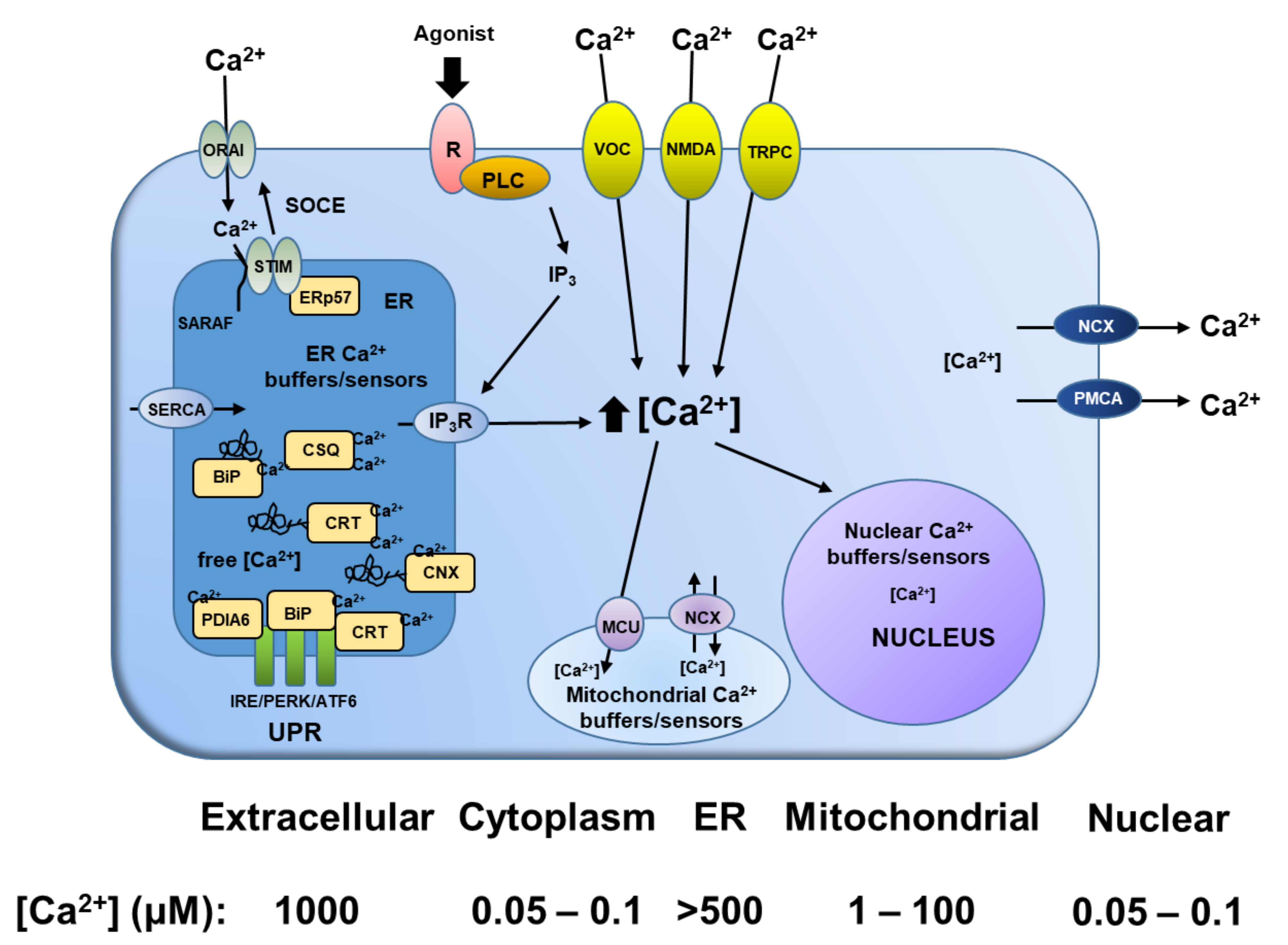 Molecules 26 07469 g002