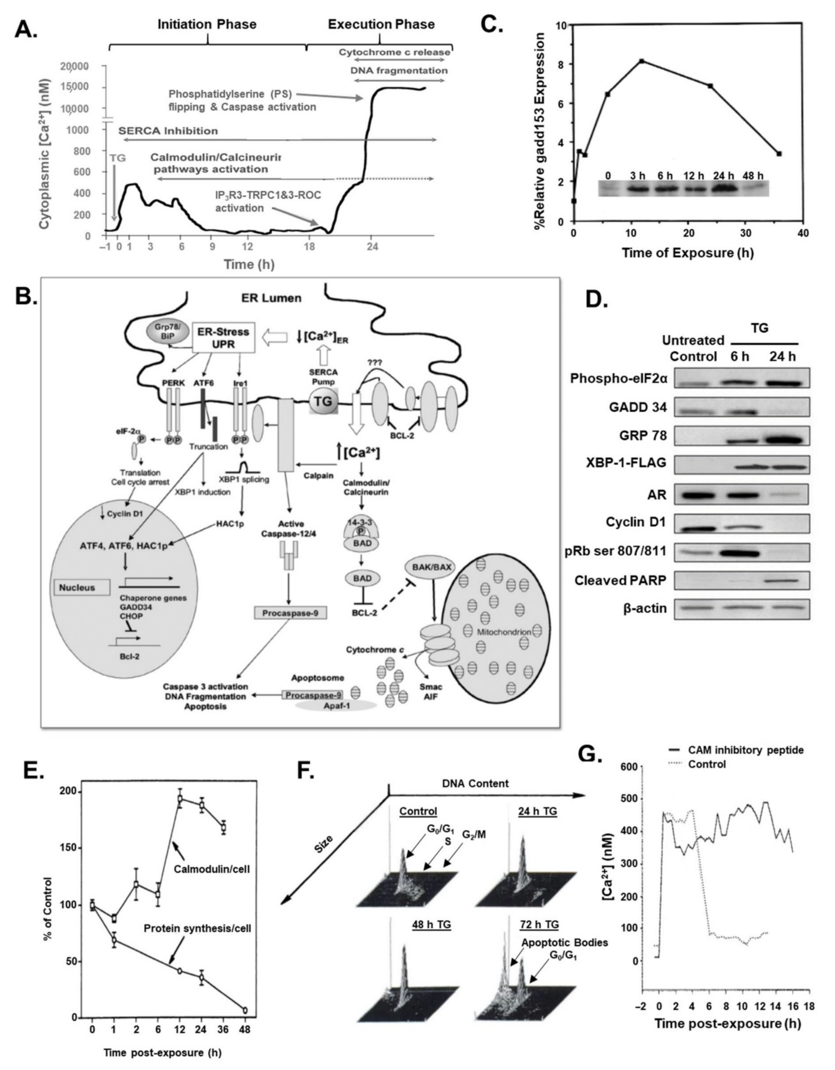 Molecules 26 07469 g003