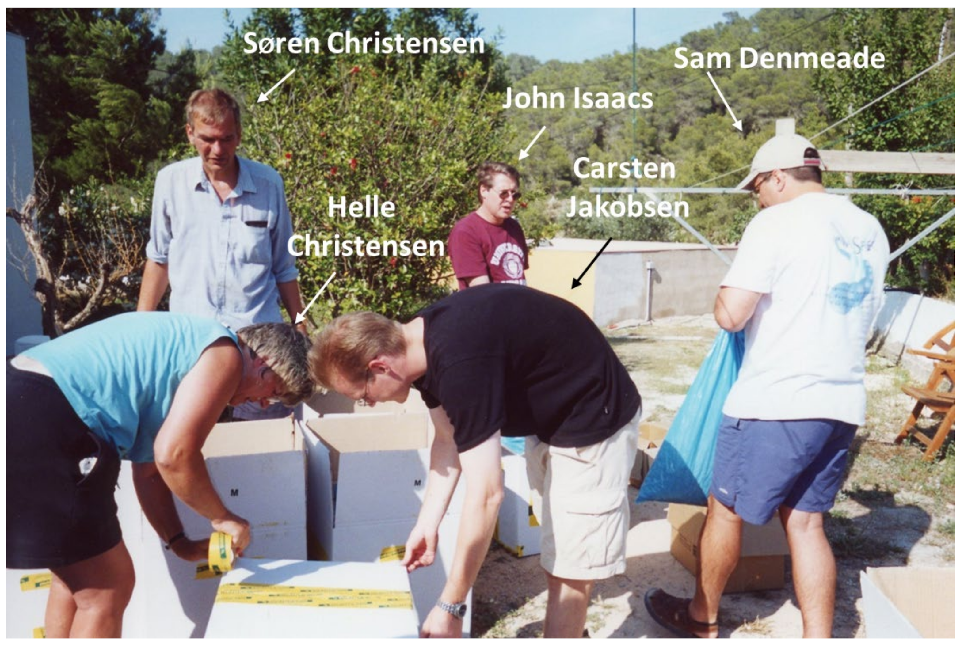 Molecules 26 07469 g006