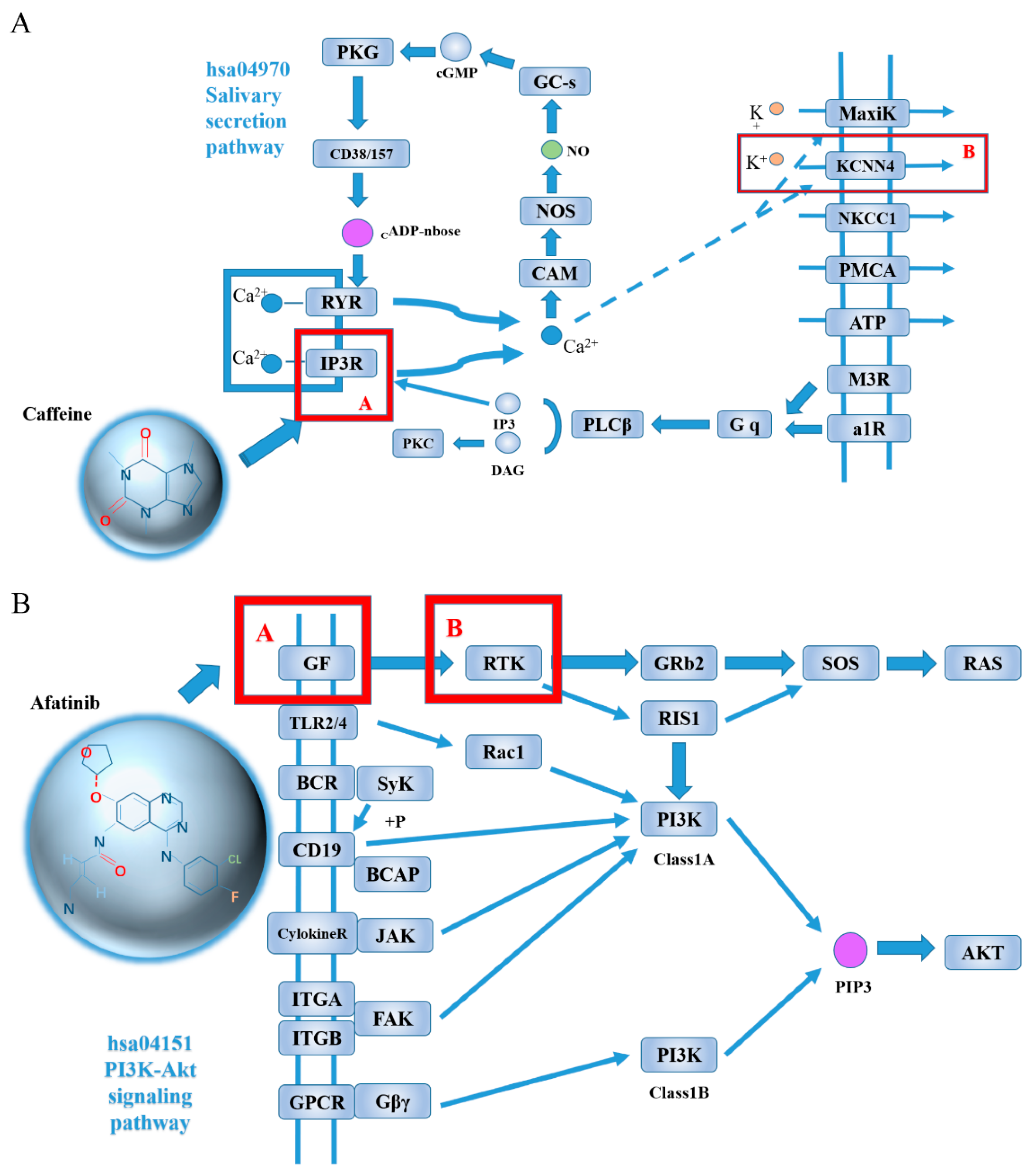 Molecules 26 07474 g005