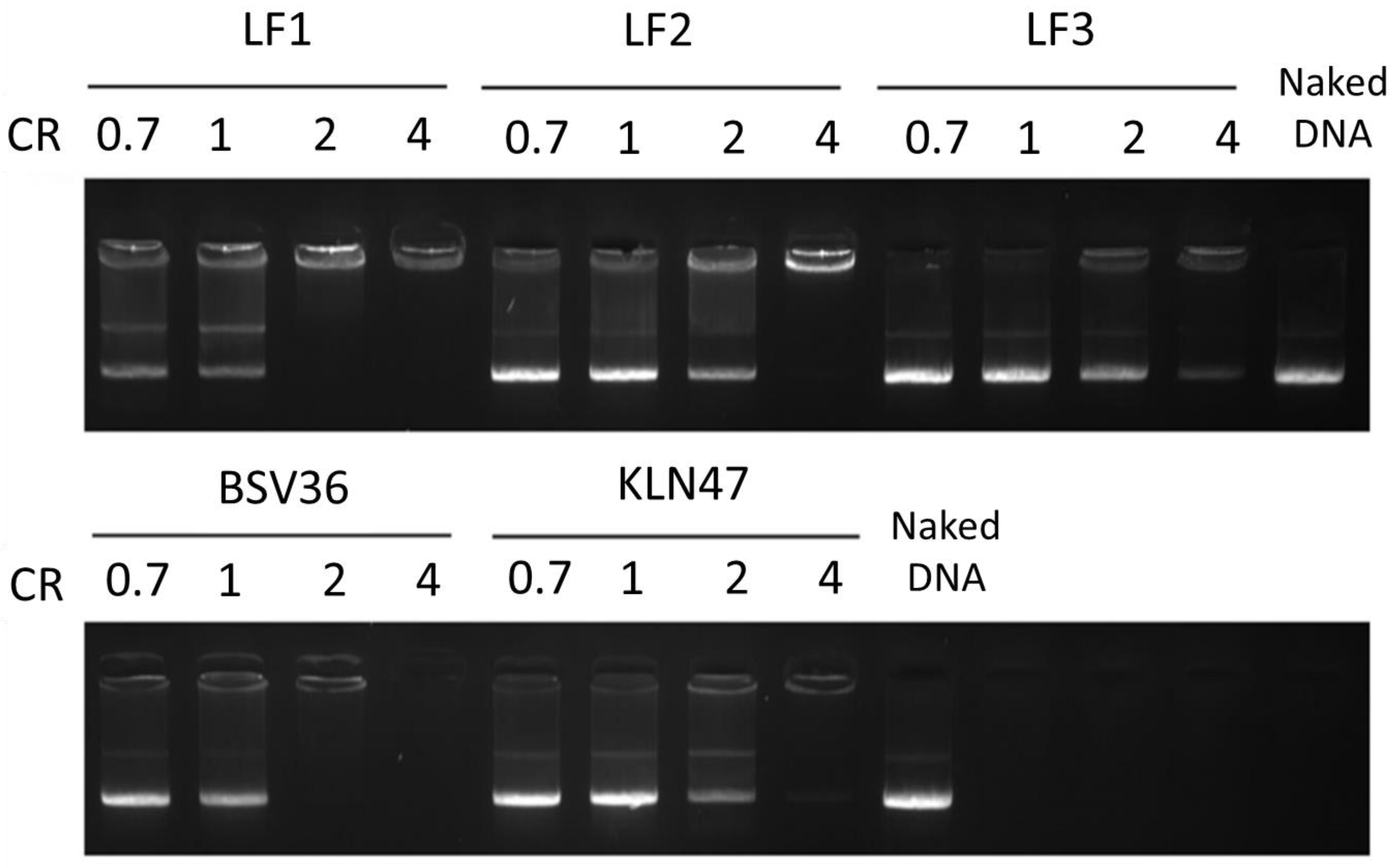 Molecules 26 07507 g003