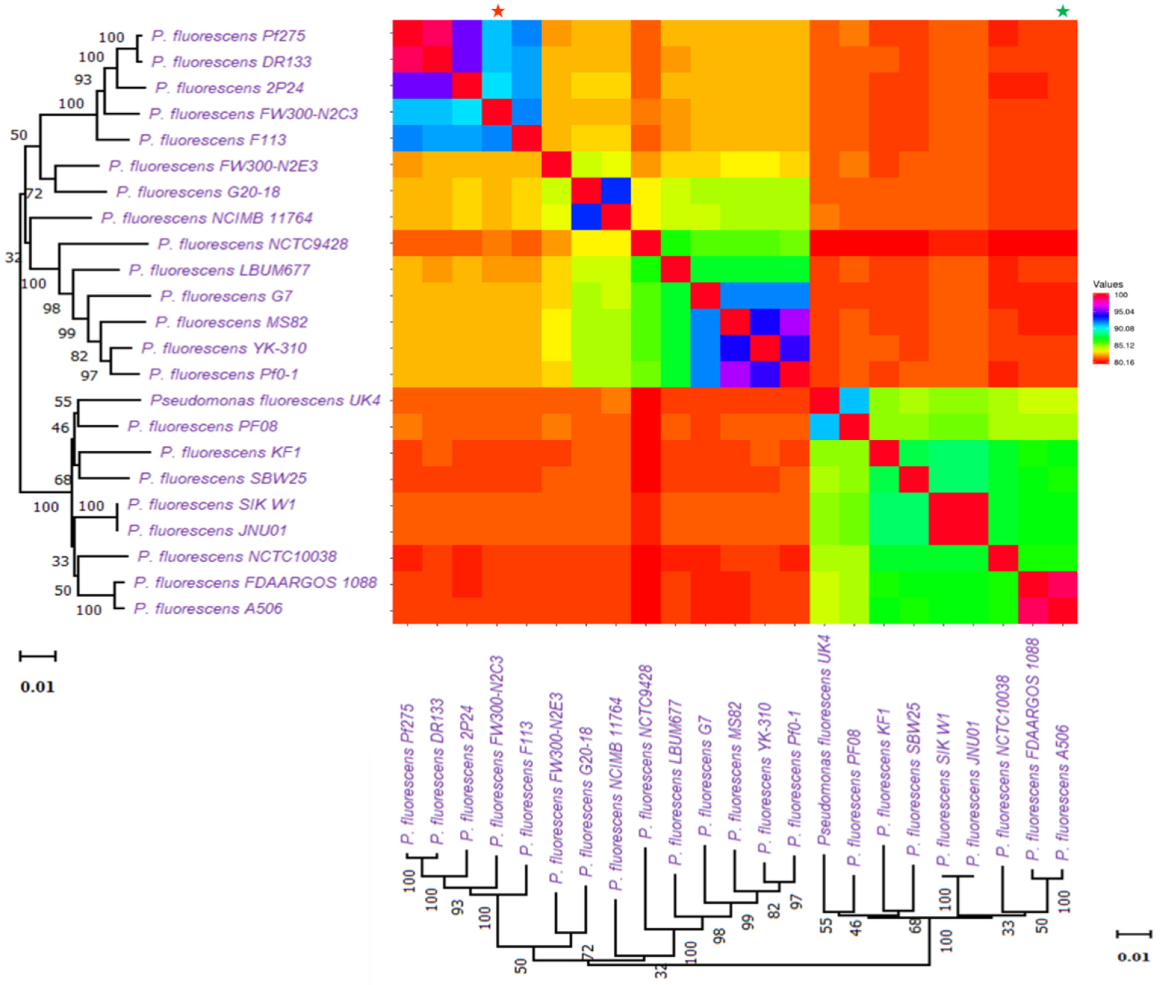 Molecules 26 07524 g006