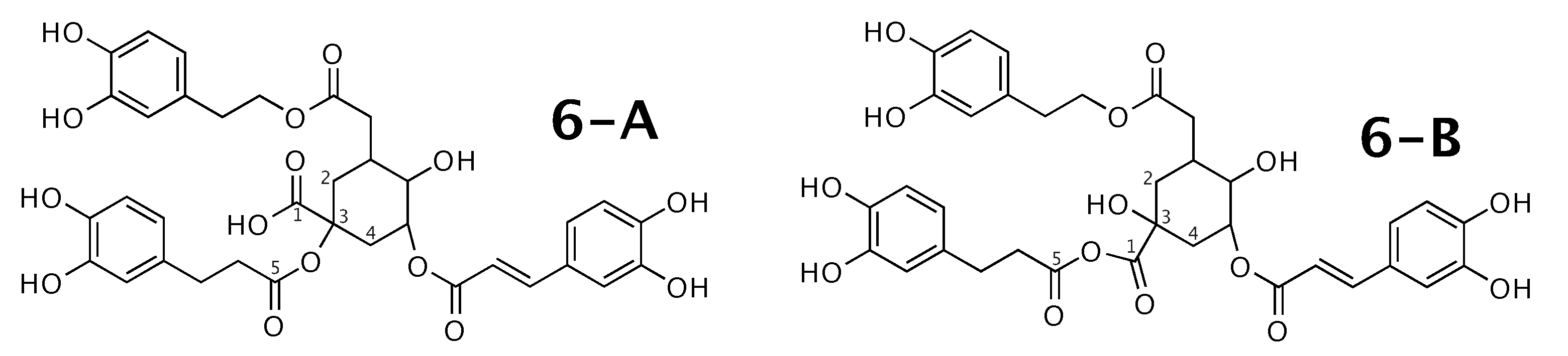 Molecules 26 07543 g006